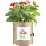 Mom Garden in a Bag