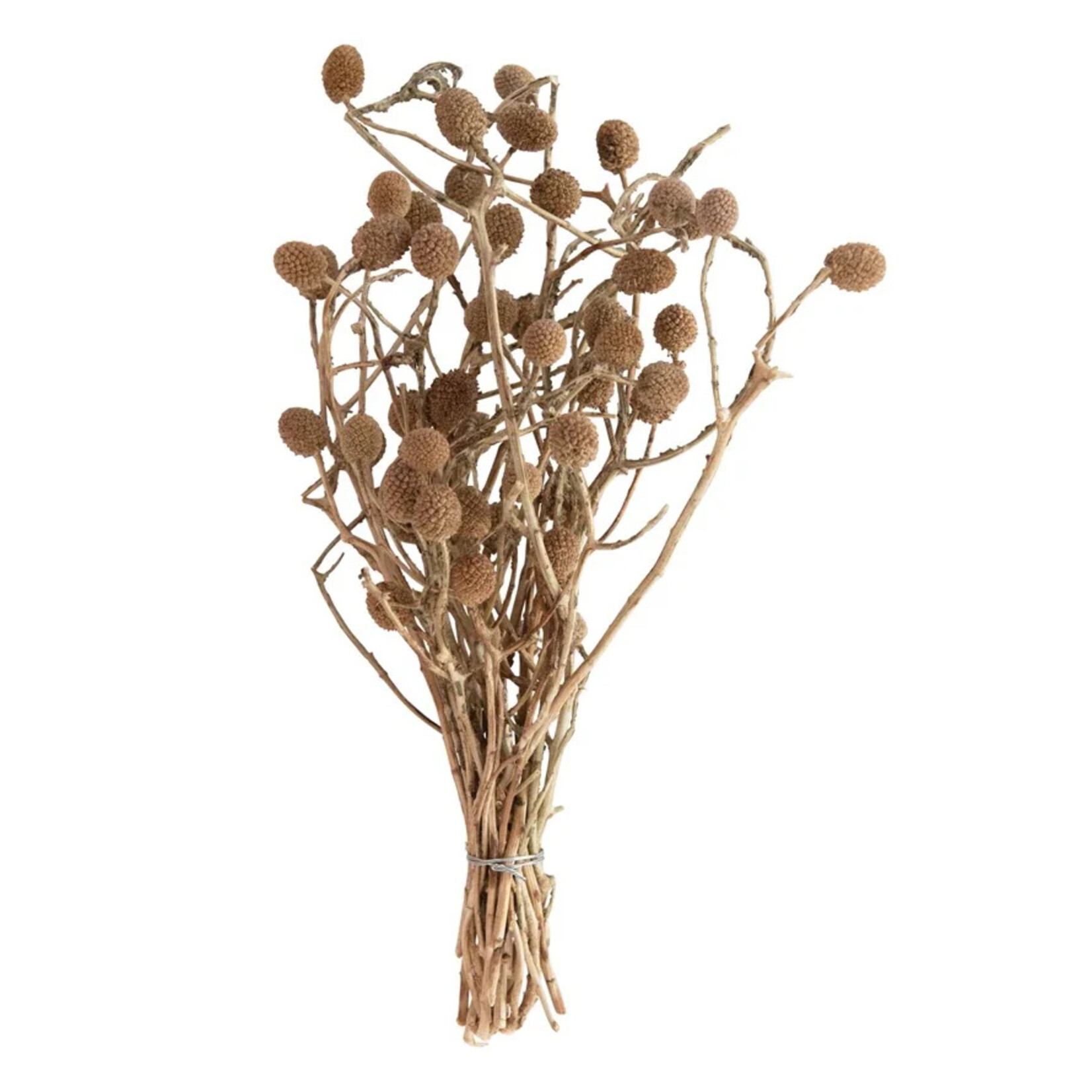 Creative Co-Op Dried Bora Bouquet