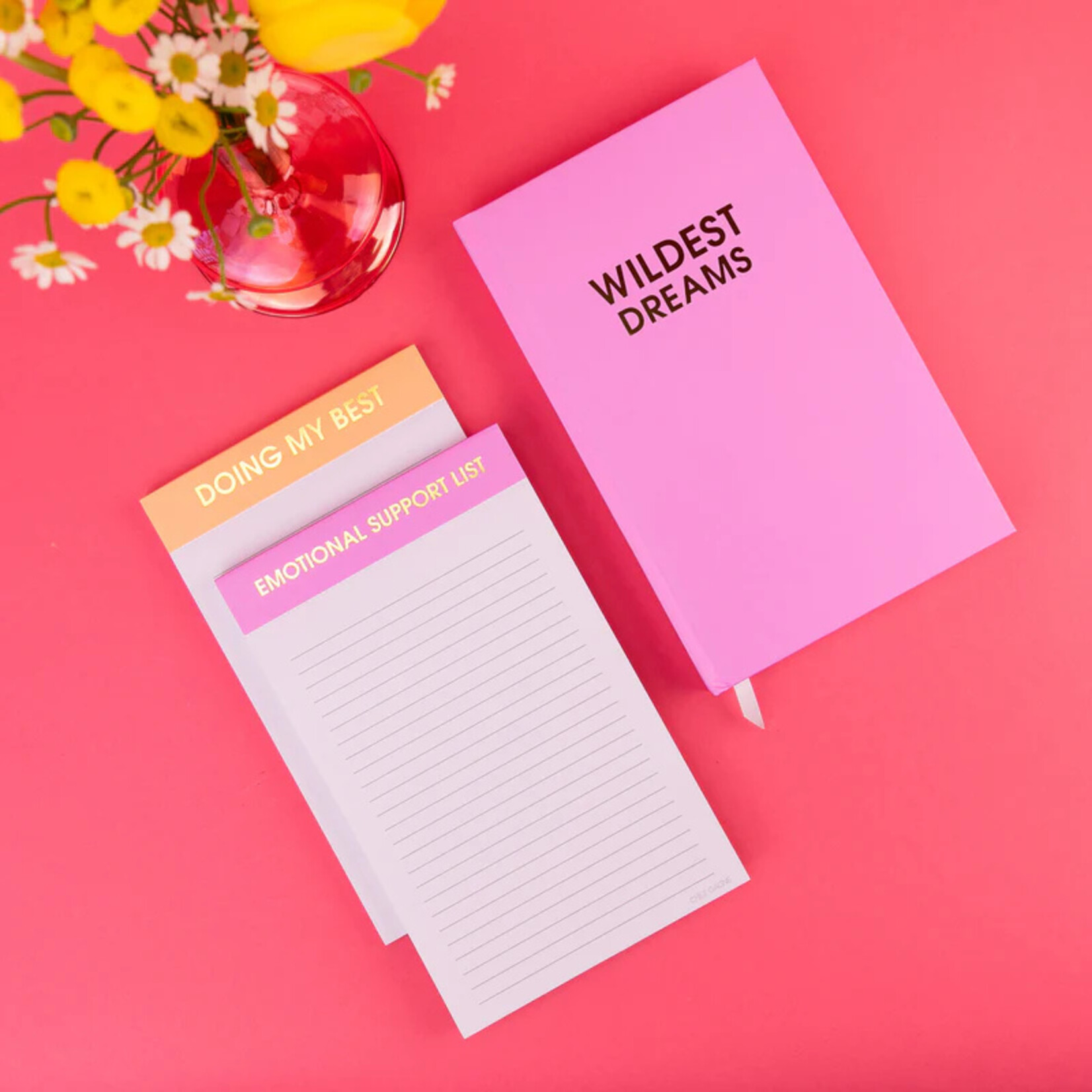 Chez Gagne Wildest Dreams Journal