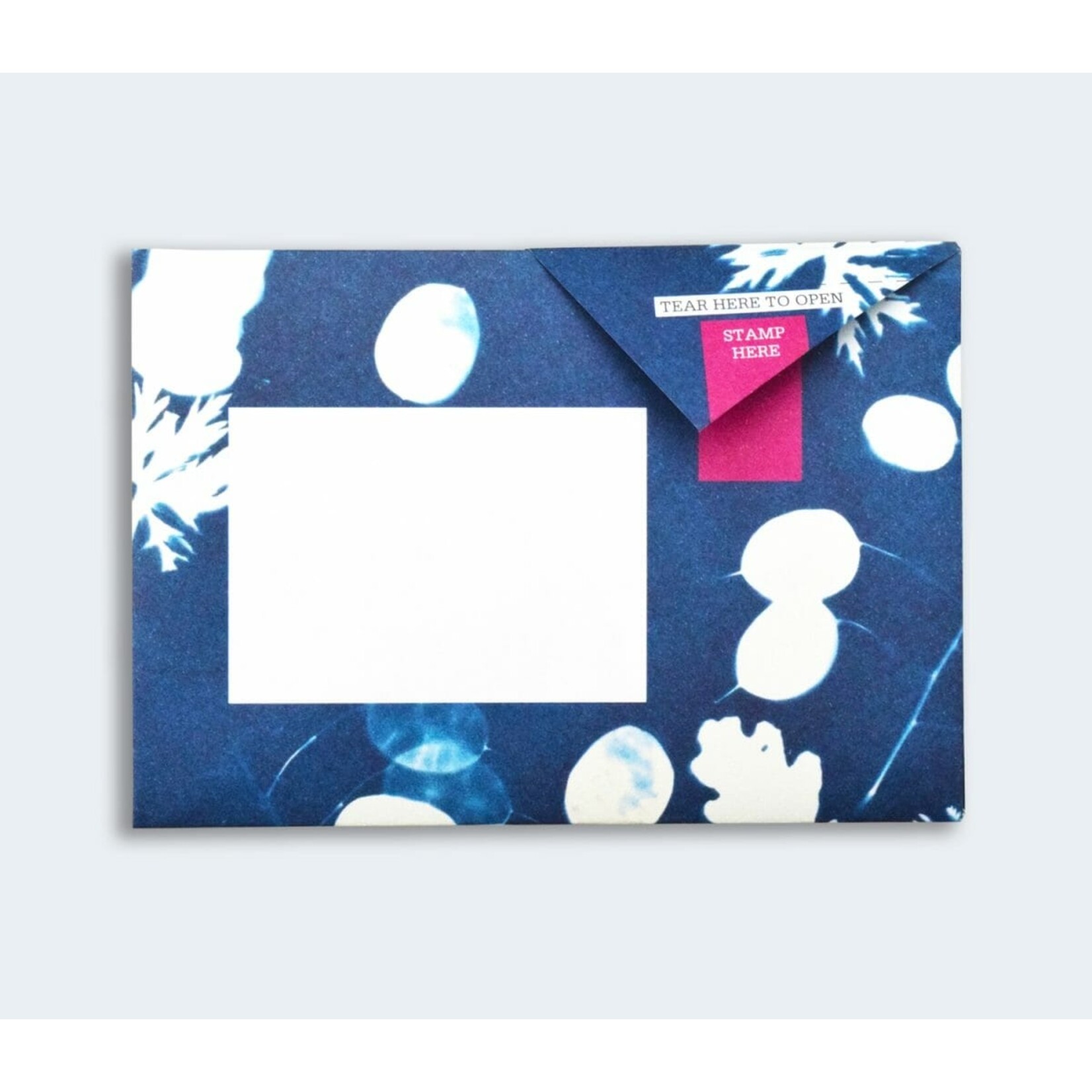 Pigeonposted Apothecary Pigeon Letter Pack Boxed Set