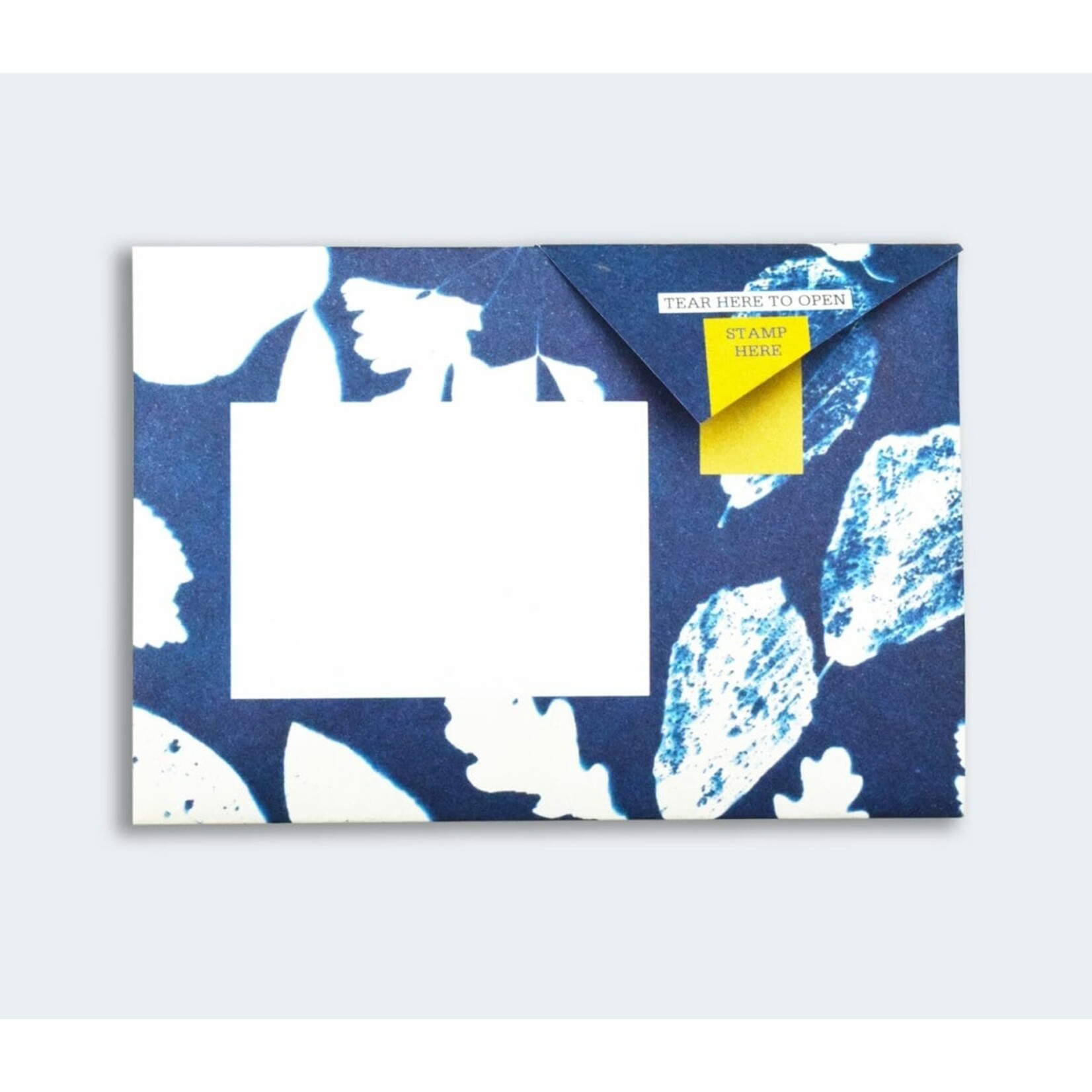 Pigeonposted Apothecary Pigeon Letter Pack Boxed Set