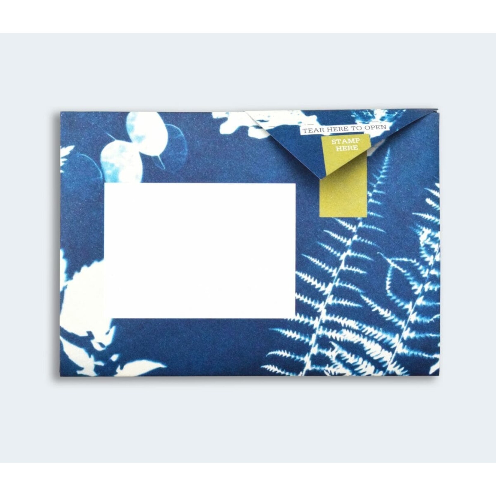 Pigeonposted Apothecary Pigeon Letter Pack Boxed Set