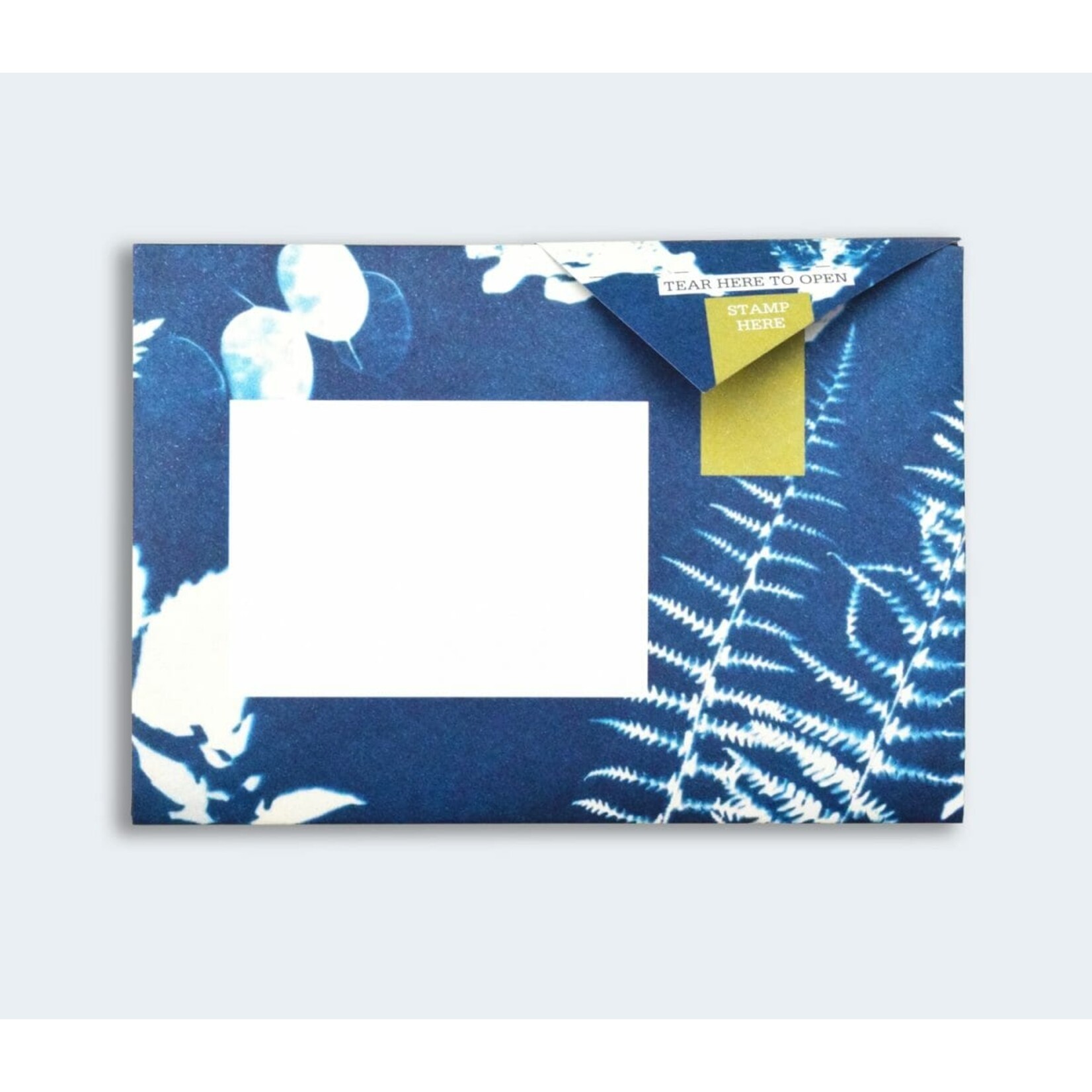 Pigeonposted Apothecary Pigeon Letter Pack Boxed Set