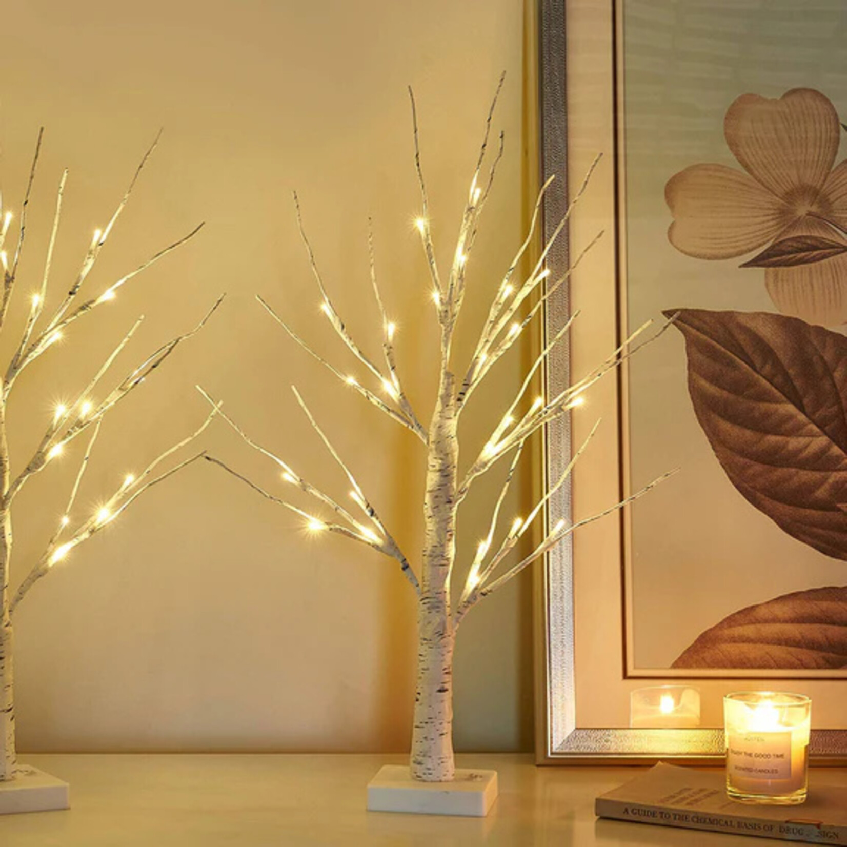 Perfect Holiday 50CM Table Birch Tree 18 LED Battery Operated, SET OF 2