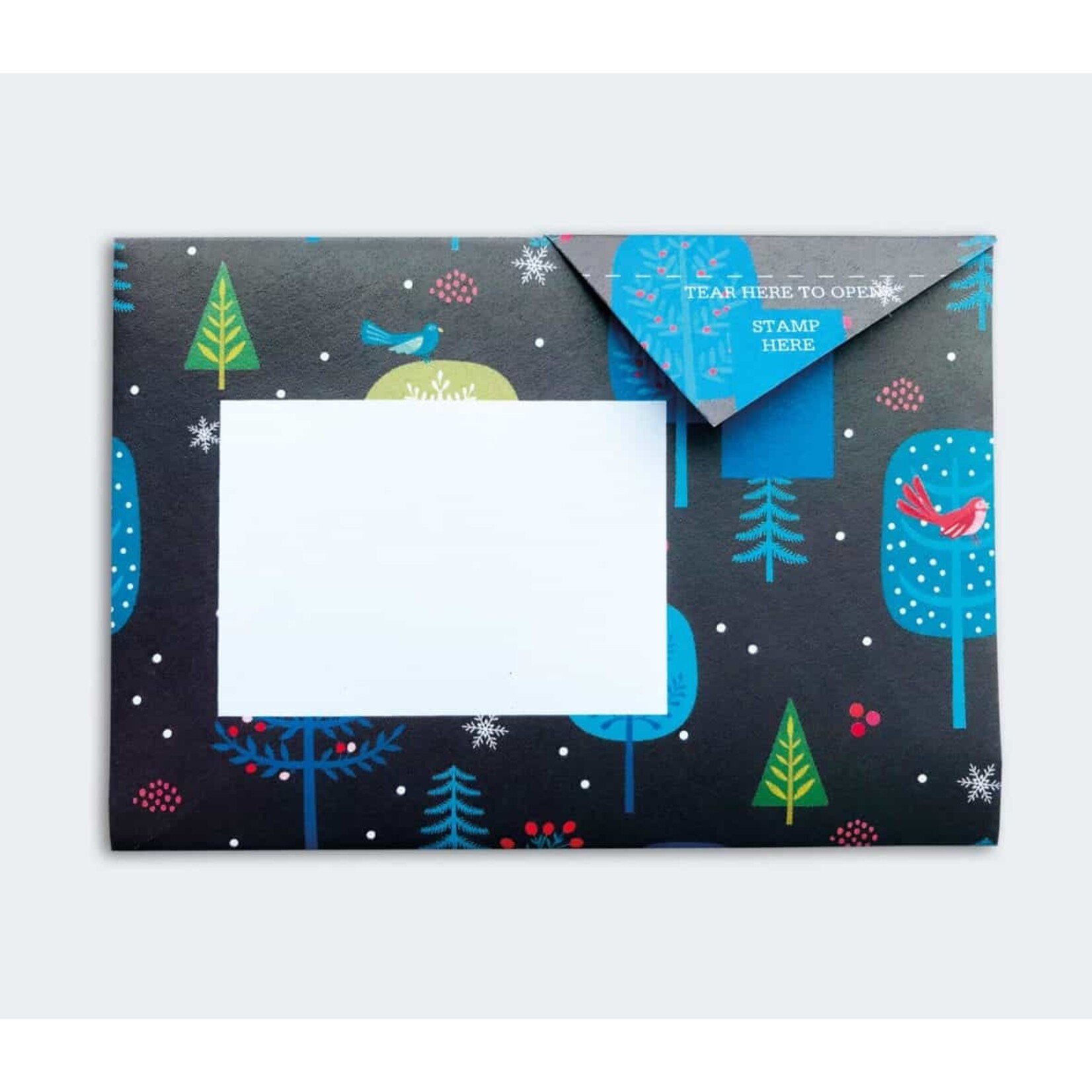 Pigeonposted Magical Menagerie Pigeon Letter Pack Boxed Set