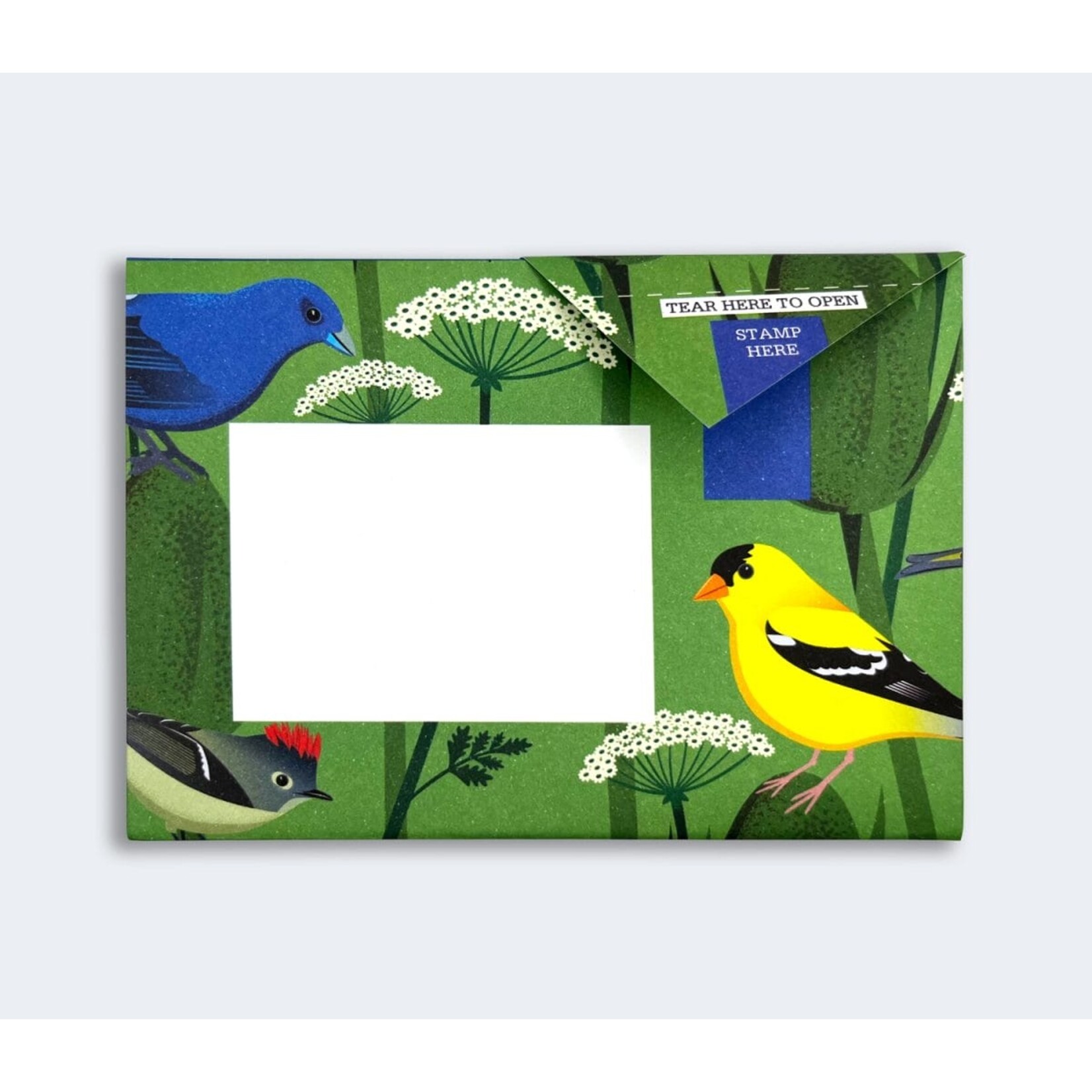 Pigeonposted Carnival of Color Pigeon Letter Pack Boxed Cards