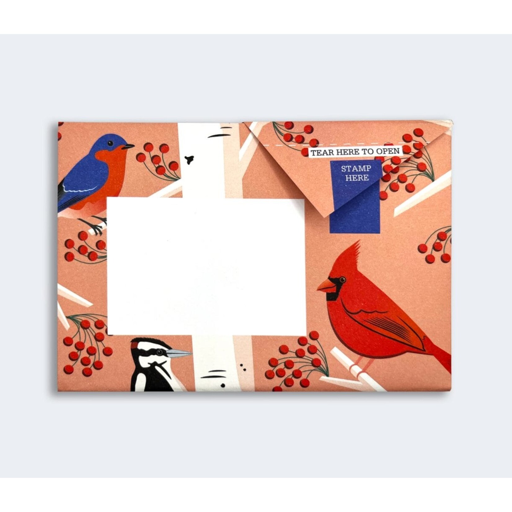 Pigeonposted Carnival of Color Pigeon Letter Pack Boxed Cards