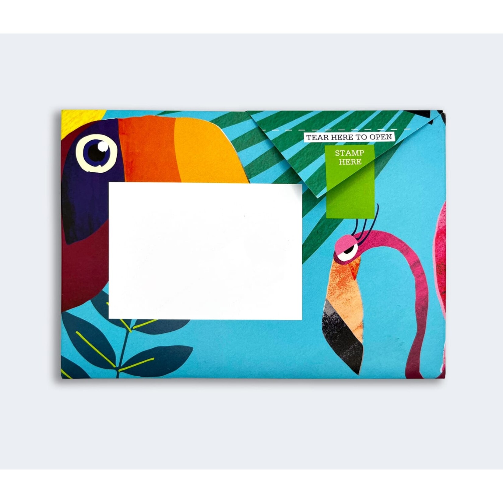 Pigeonposted Wild Lives Pigeon Letter Pack Boxed Set