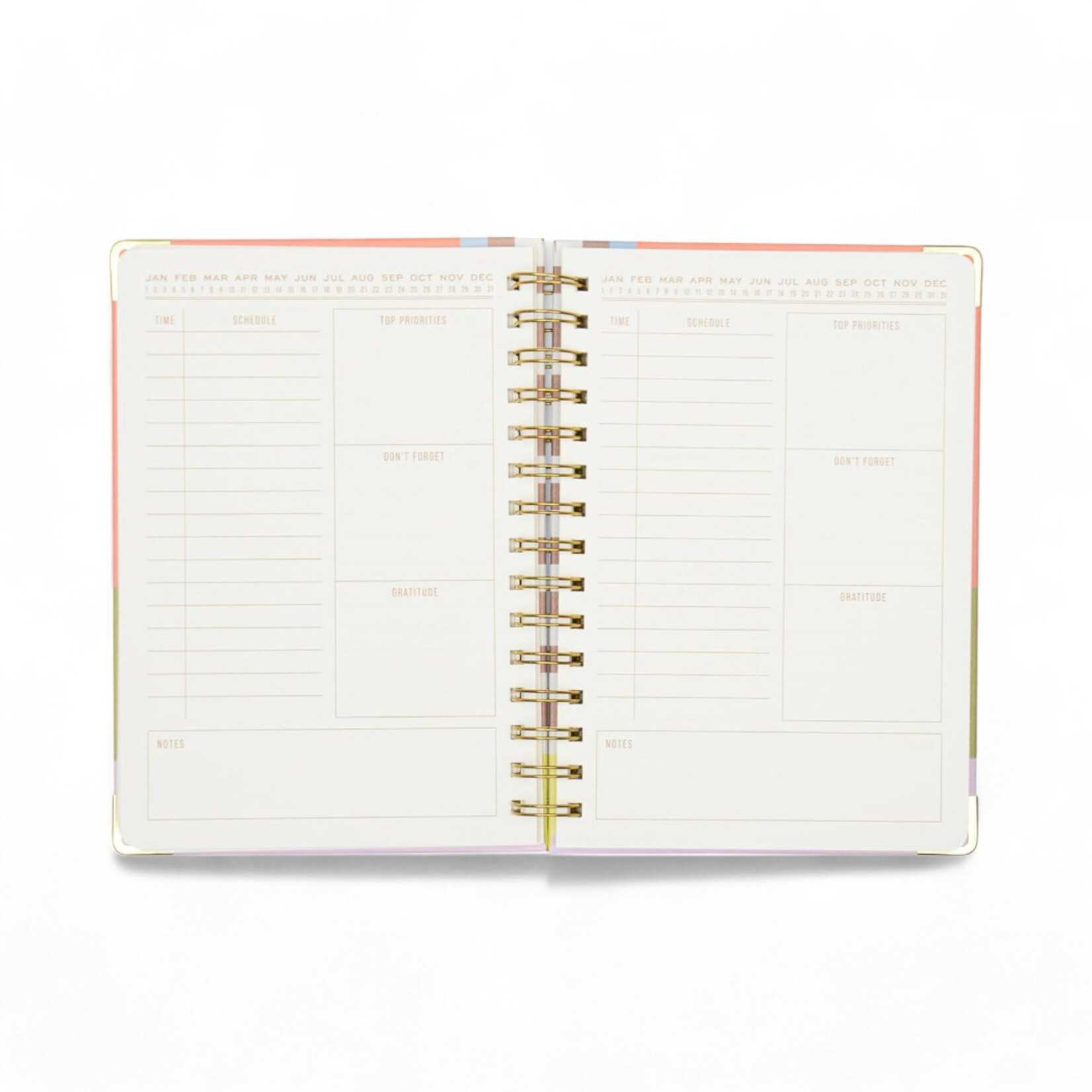 Designworks Undated 13 Month perpetual Planner- Geo Checks