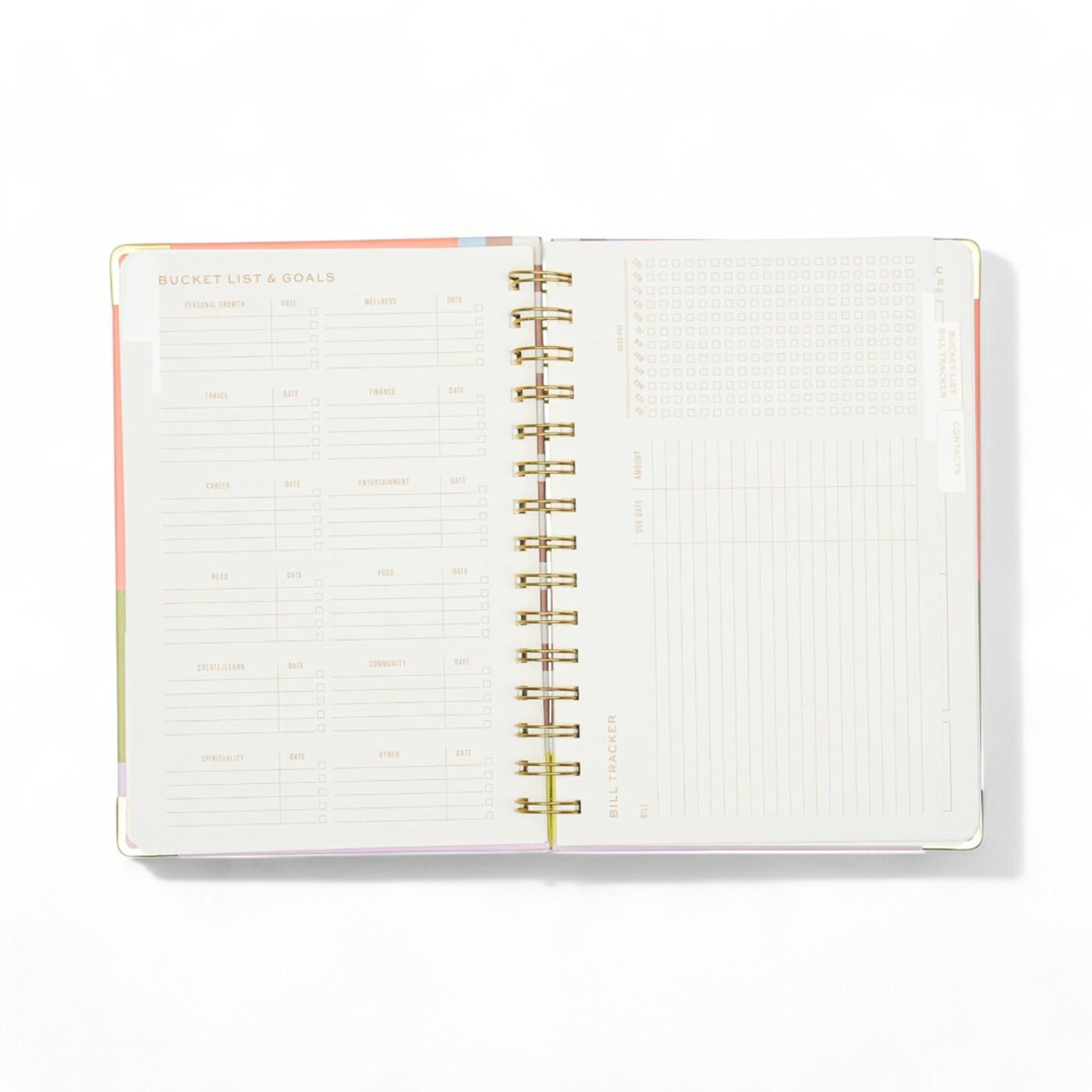 Designworks Undated 13 Month perpetual Planner- Geo Checks