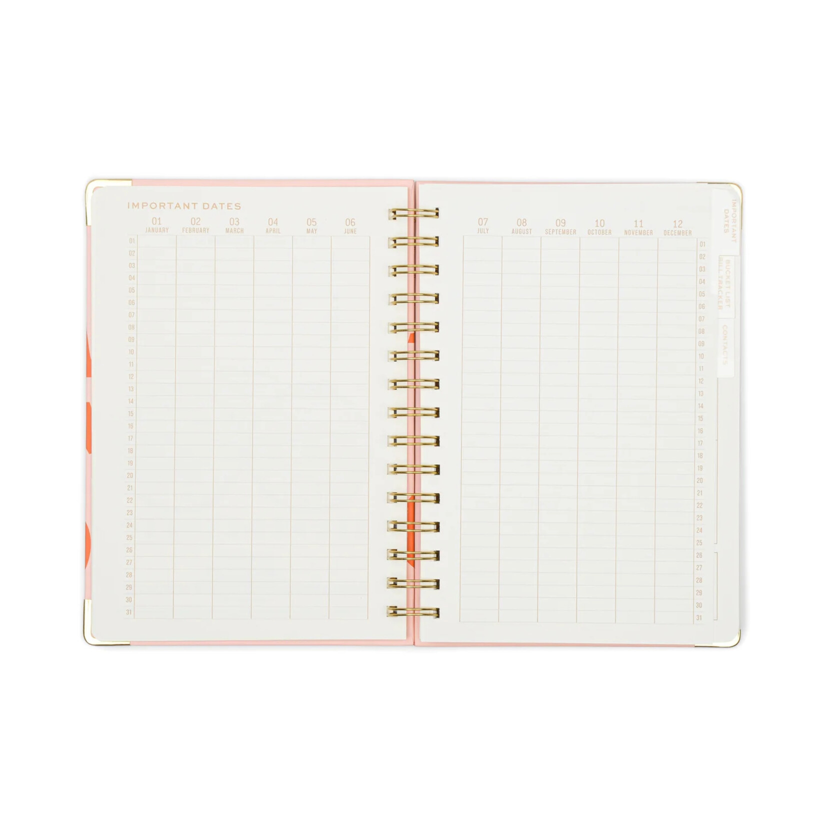 Designworks Undated 13 Month Perpetual Planner- Plans