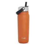 Swell 24oz Explorer Carnelian Water Bottle