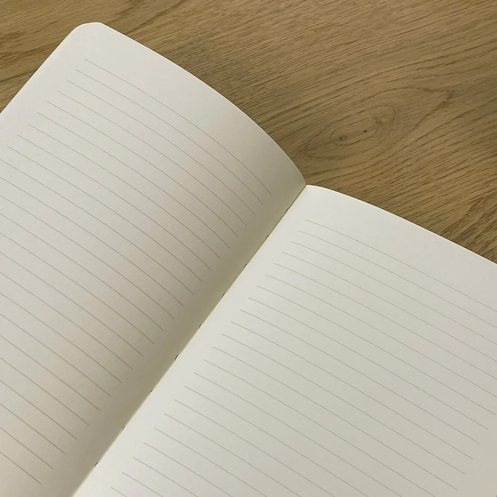 The Mincing Mockingbird Ledger of Perceived Slights Journal