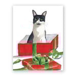 The Mincing Mockingbird SET OF 8 Cat in Christmas Box Cards