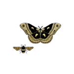 Winged Duo Pair (Metallic)