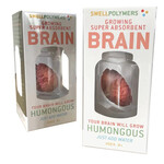 Copernicus Toys DIY Grow A Brain Science Kit