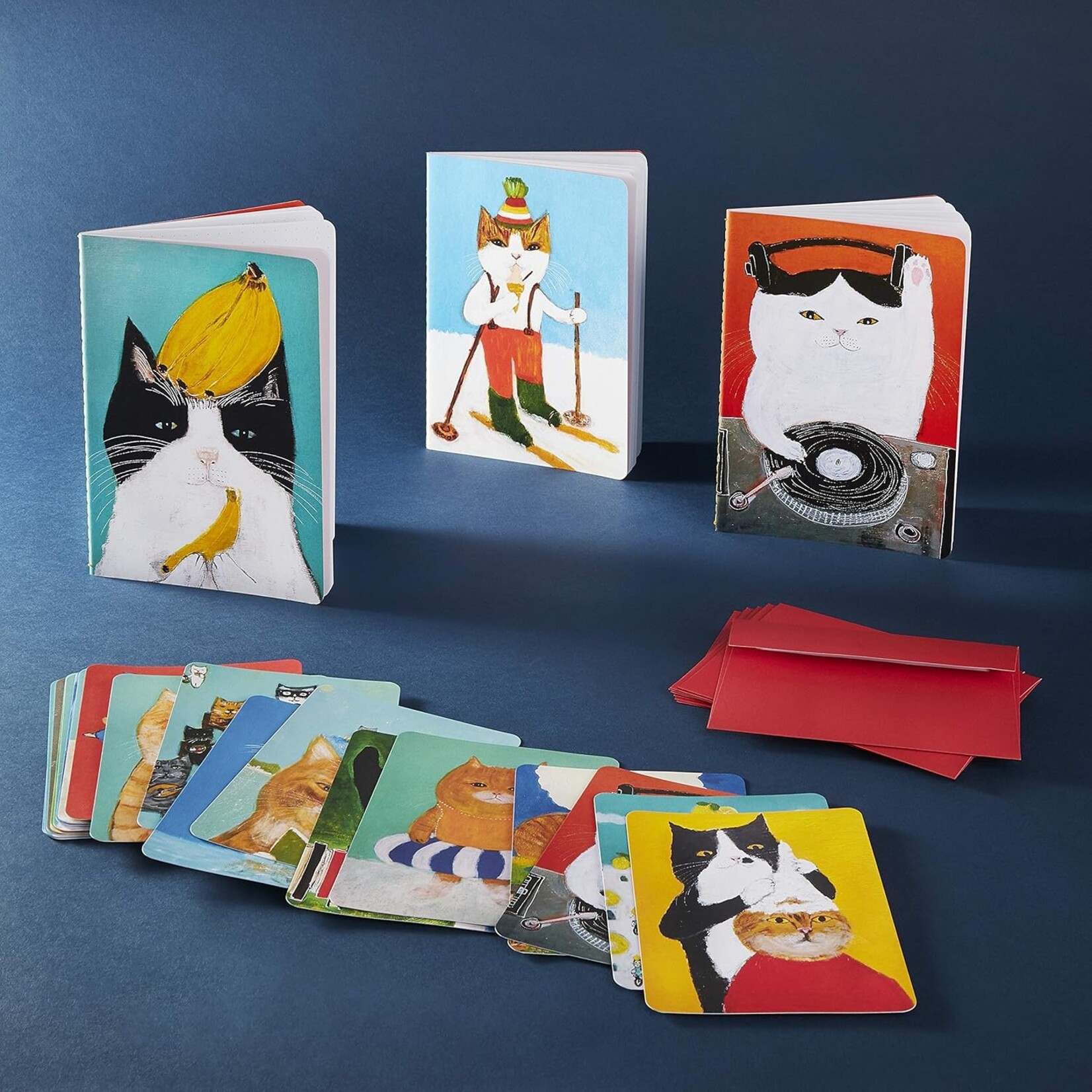 Chronicle Books The Secret Life of Cats Correspondance Boxed Notecards