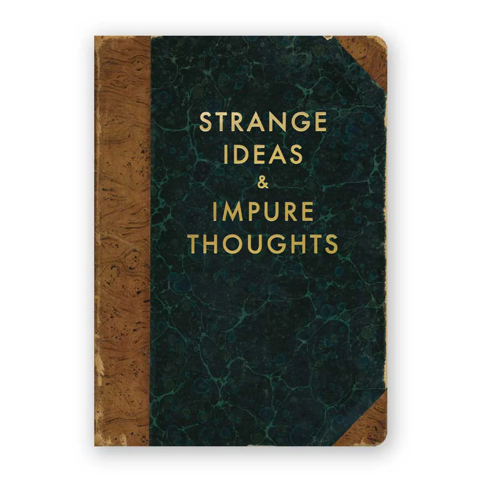 The Mincing Mockingbird Strange Ideas Journal