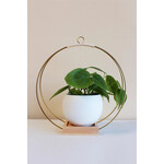 Braid and Wood Plant Hanger Classic Shimmer