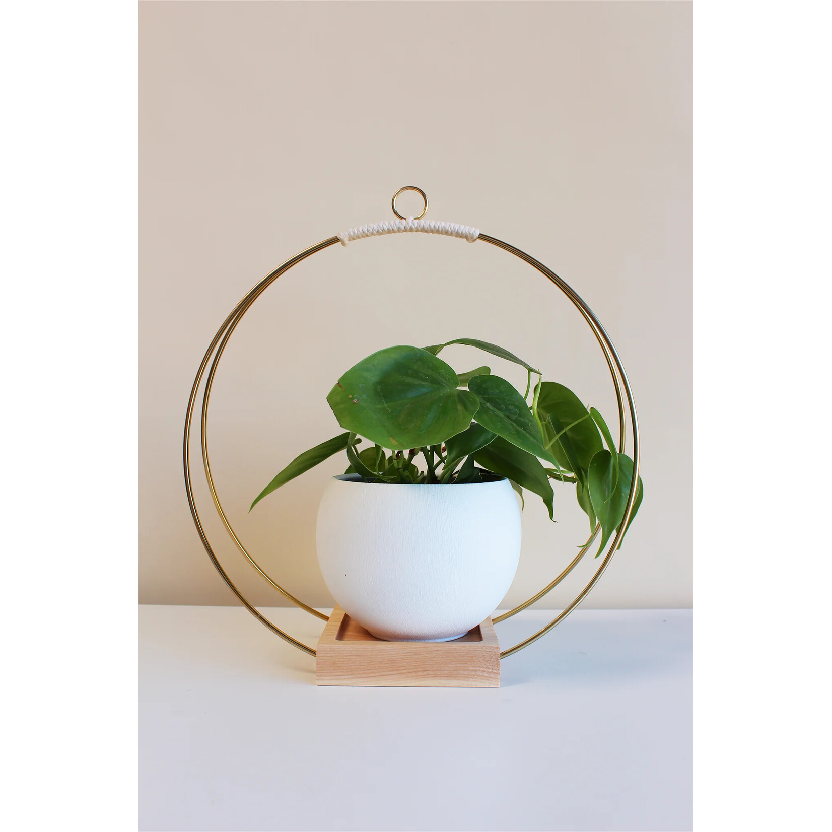 Braid and Wood Plant Hanger Classic Shimmer