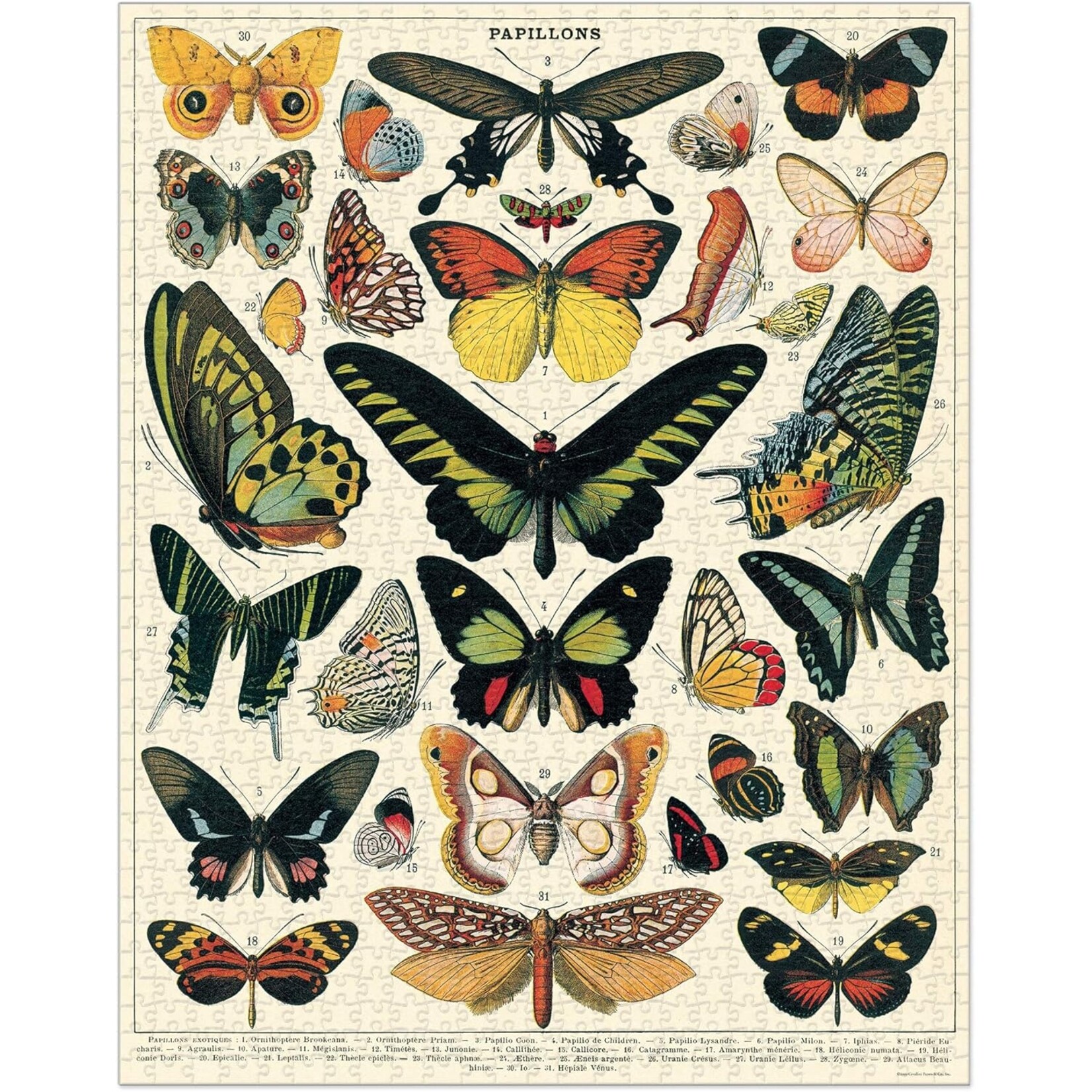 Cavallini Papers Butterfly 1000pc Puzzle