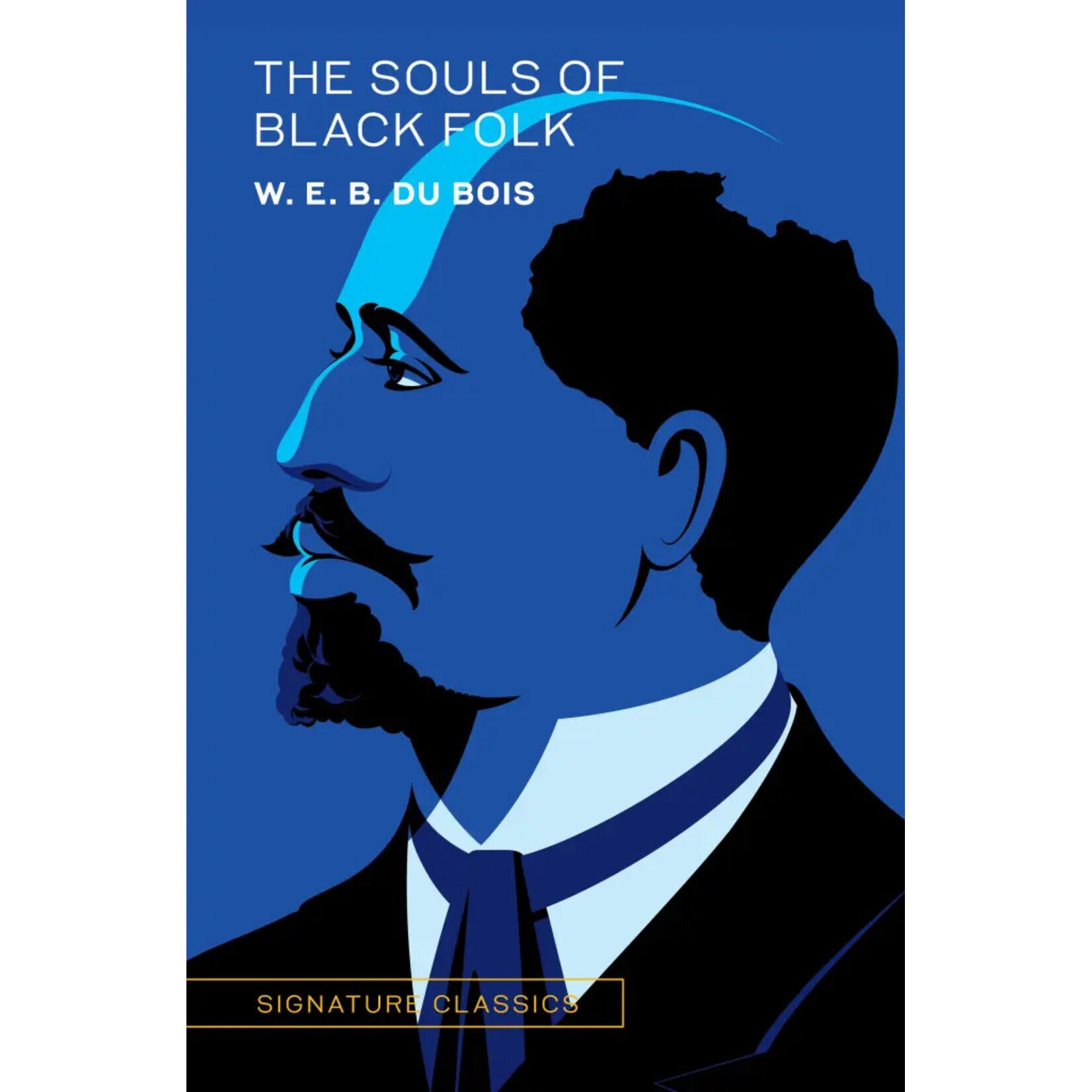 Hachette Publishing The Souls of Black Folk