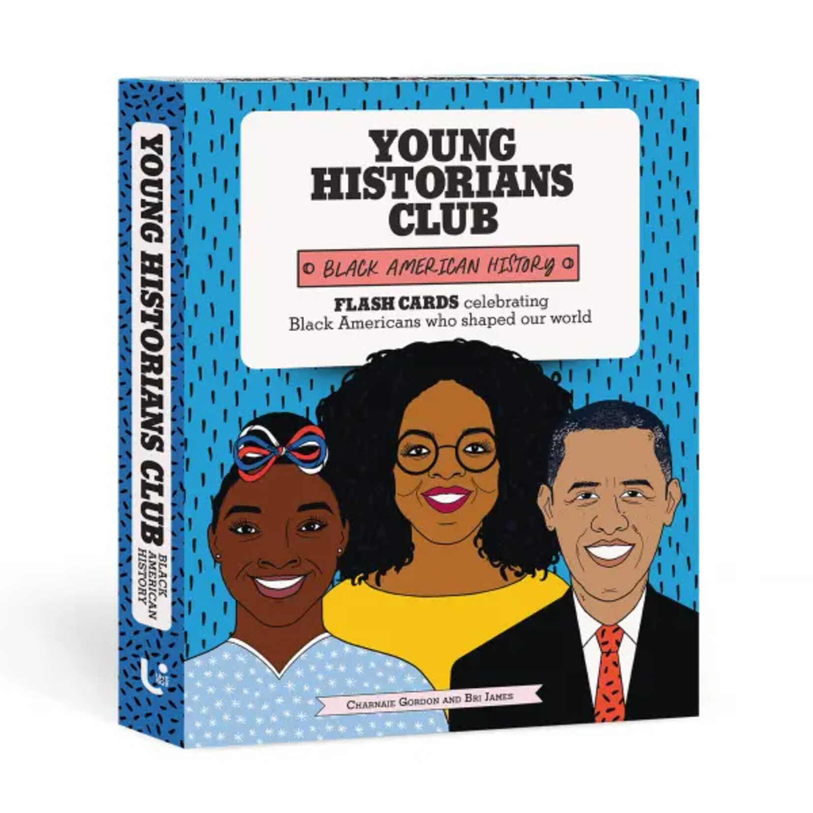 Hachette Publishing Young Historians Club: Black American History