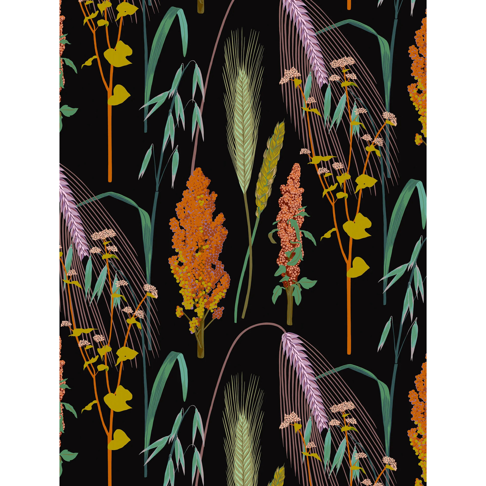 Pomegranate Kate Blairstone Slipcase Boxed Notecards