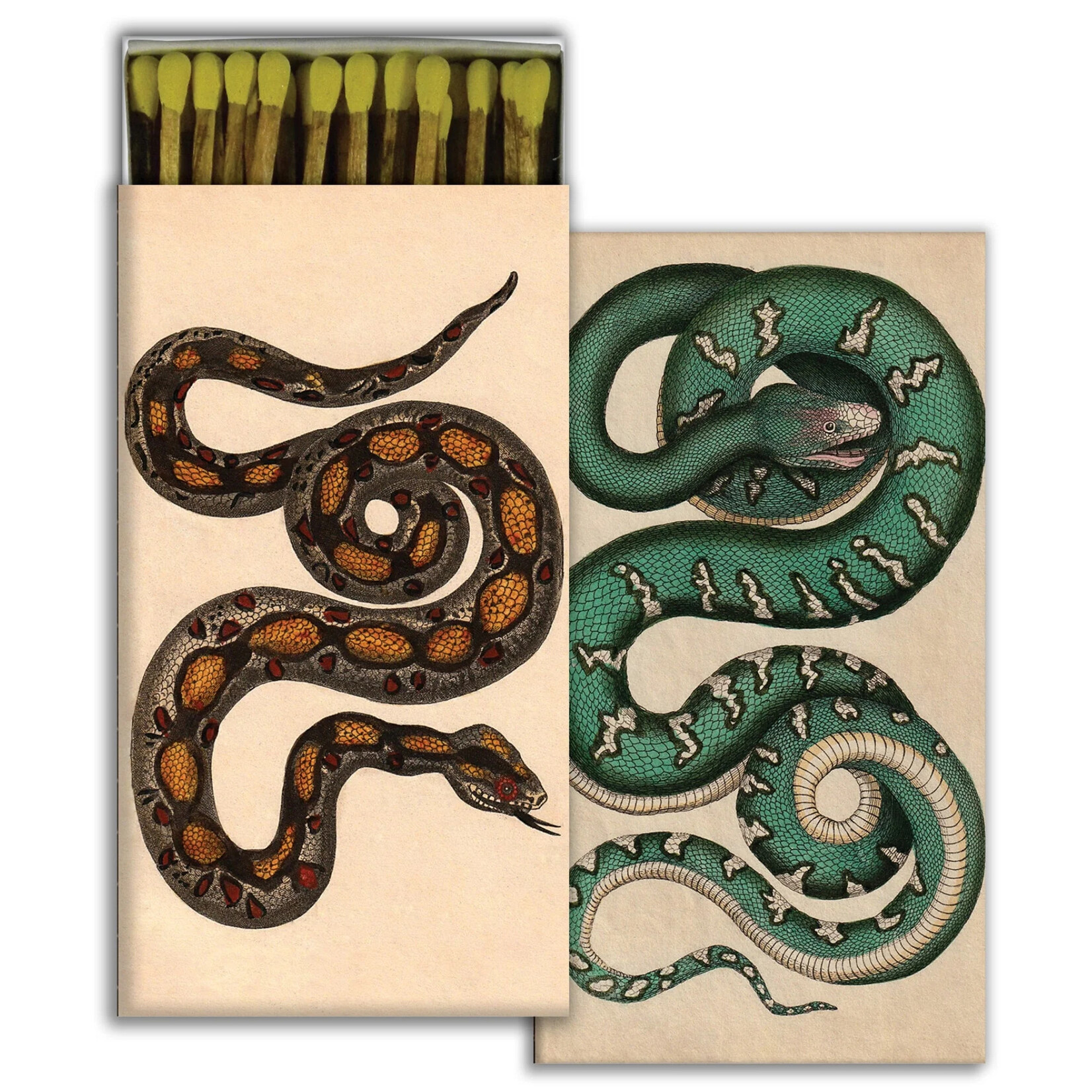 Matches- Rare Snakes