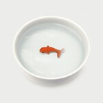 Fish Pet Bowl