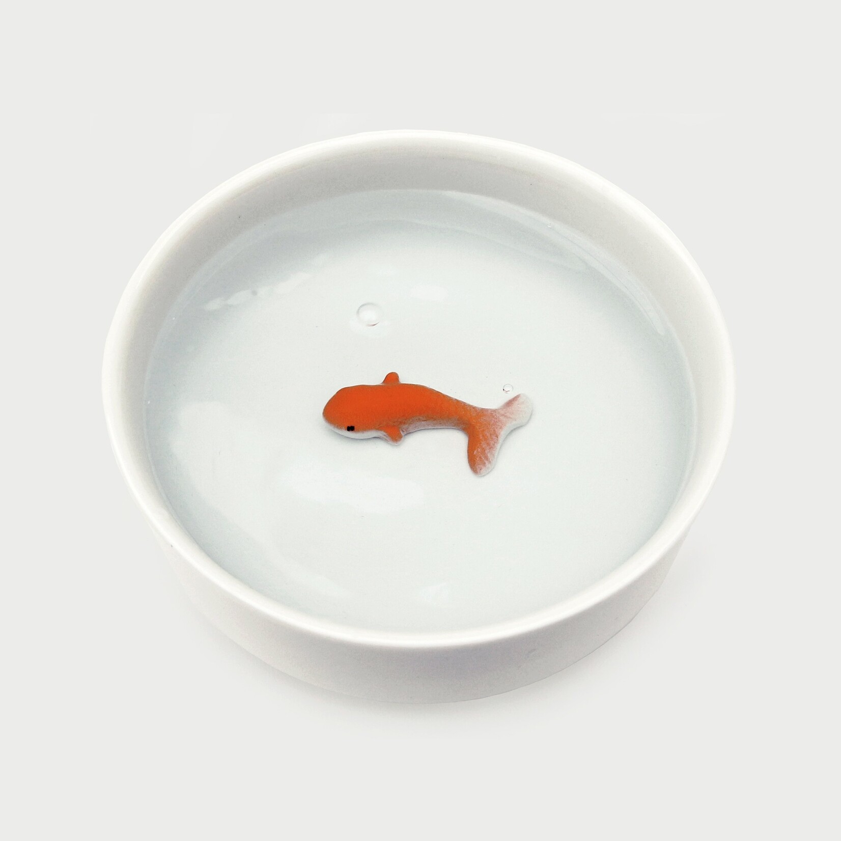 Fish Pet Bowl