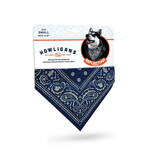 Howligans Reflective Dog Bandana Small