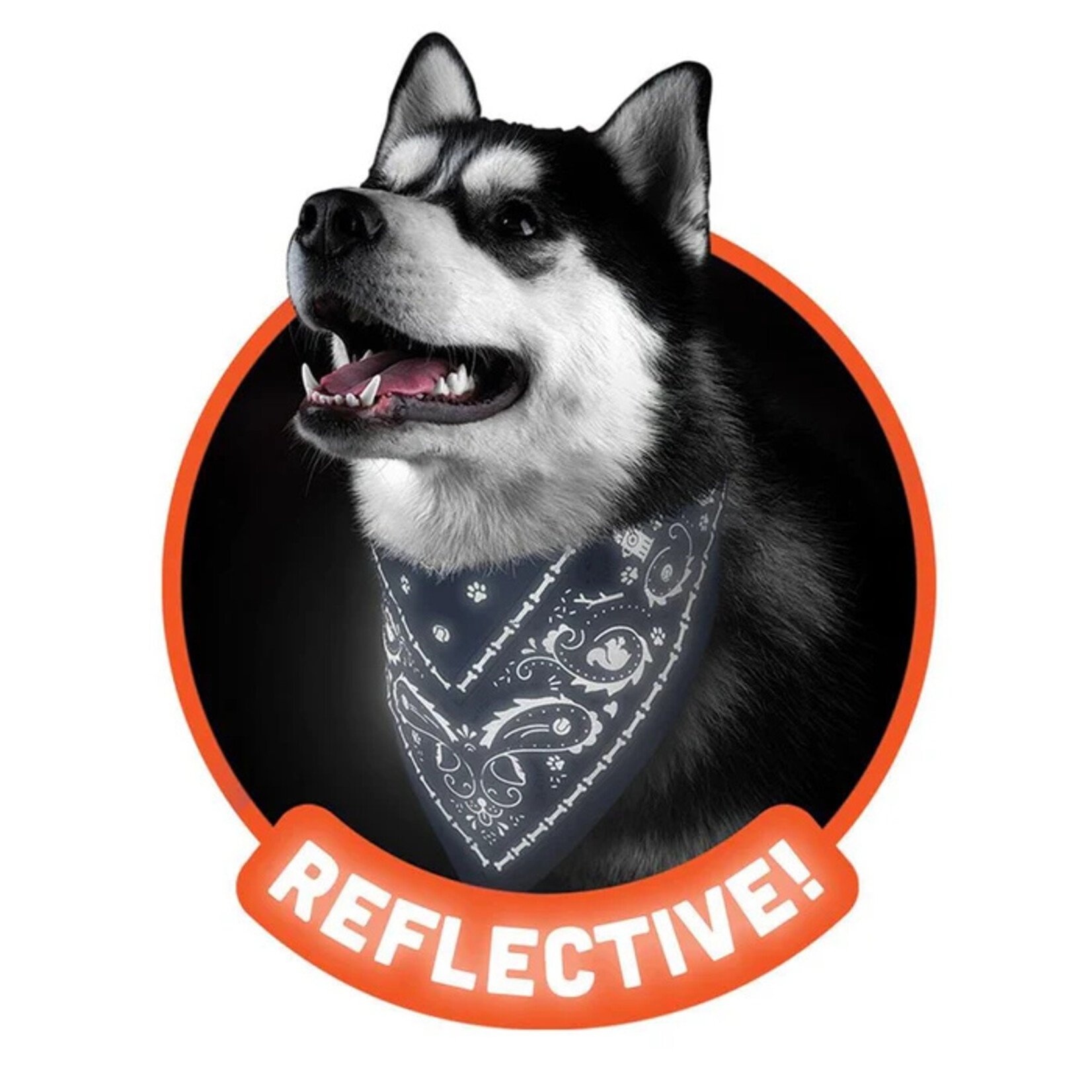 Howligans Reflective Dog Bandana Small