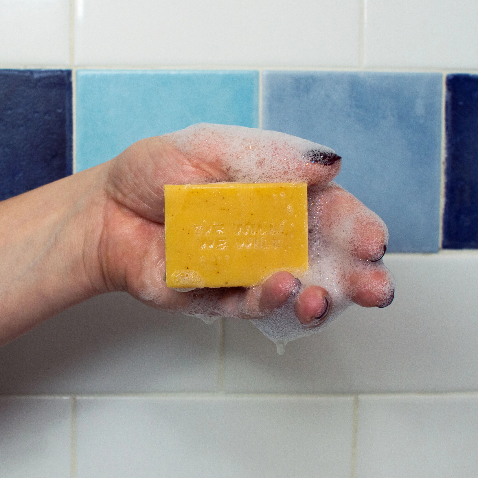 Unemployed Philosophers Guild We Will Wash You Bar Soap