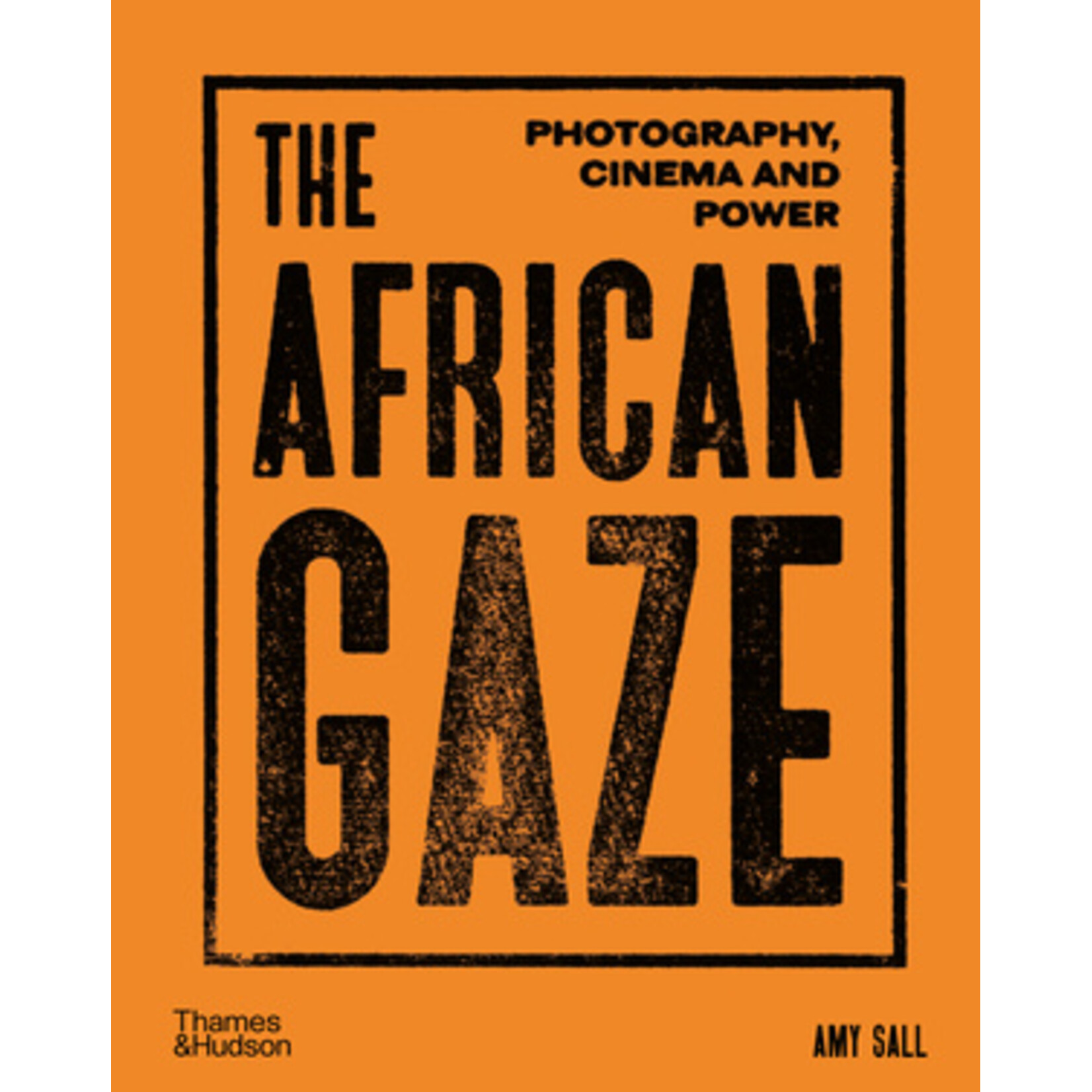 The African Gaze: Photography, Cinema, and Power