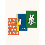 Miffy Boxed Mini Notebook Trio