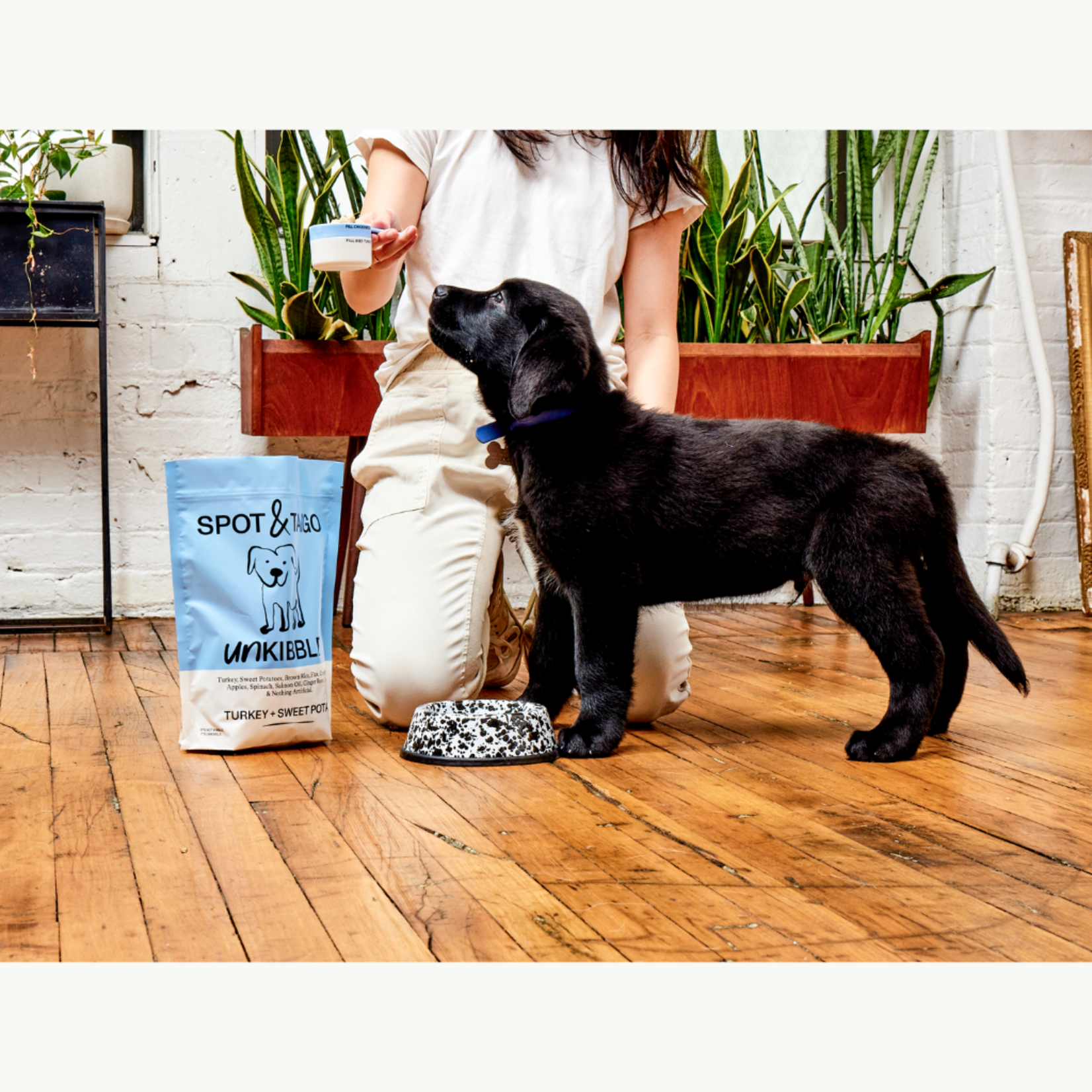 Crow Canyon Home CCH Splatter Enamel Small Pet Bowl- Black