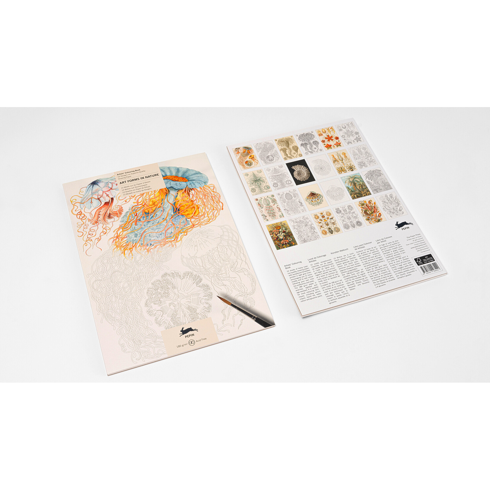 Pepin Press Art Forms in Nature Artists' Colouring Book