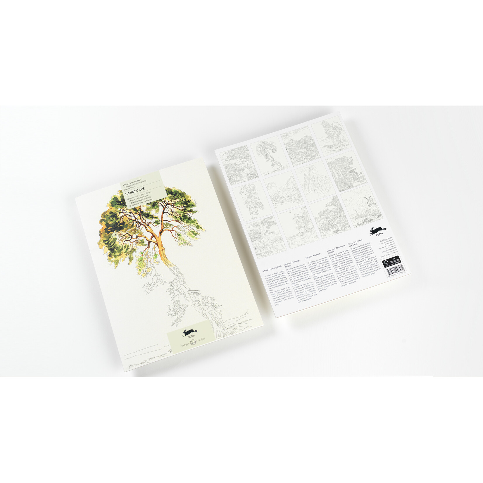 Pepin Press Landscape Artists' Colouring Book