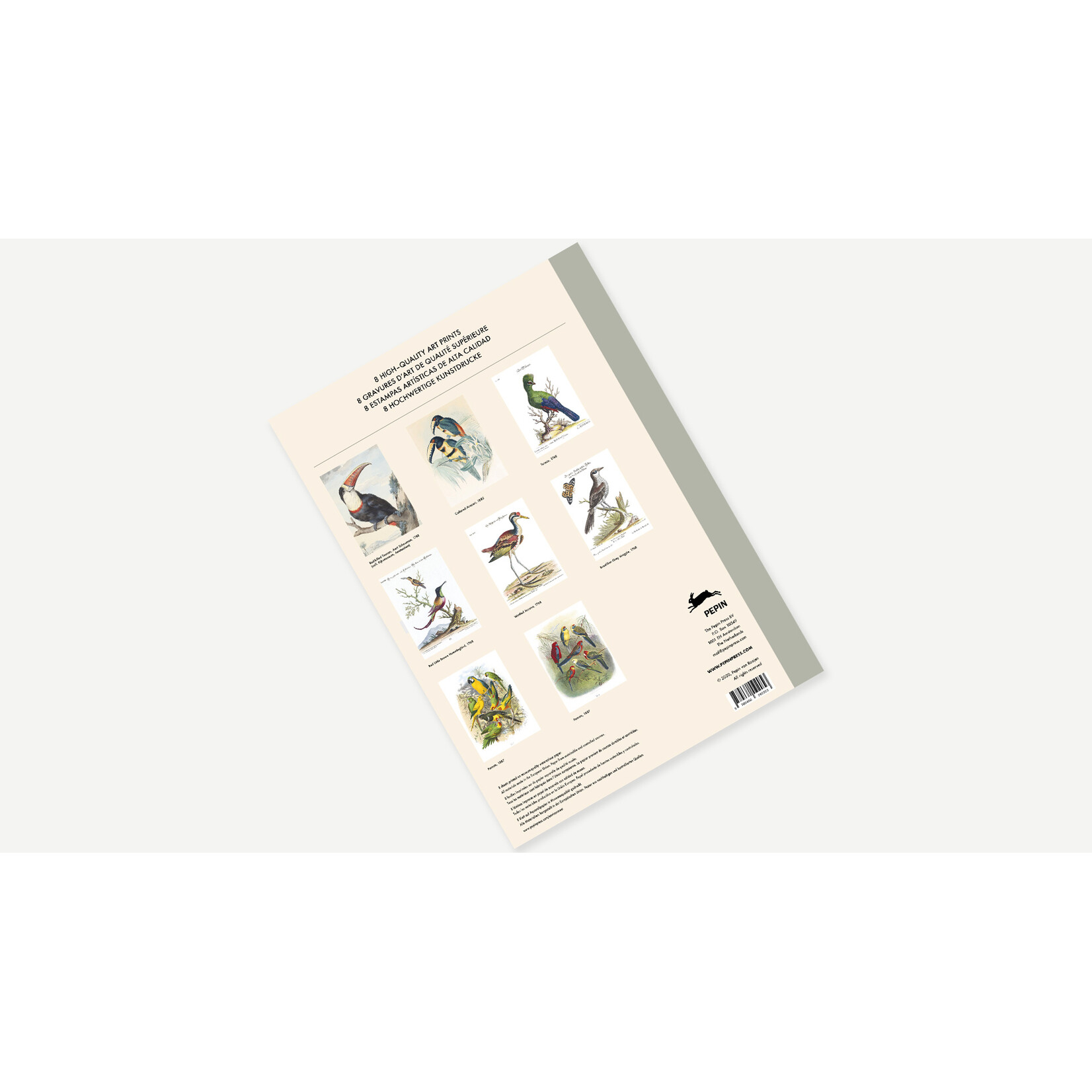 Pepin Press Tropical Birds Art Portfolio 8 Prints