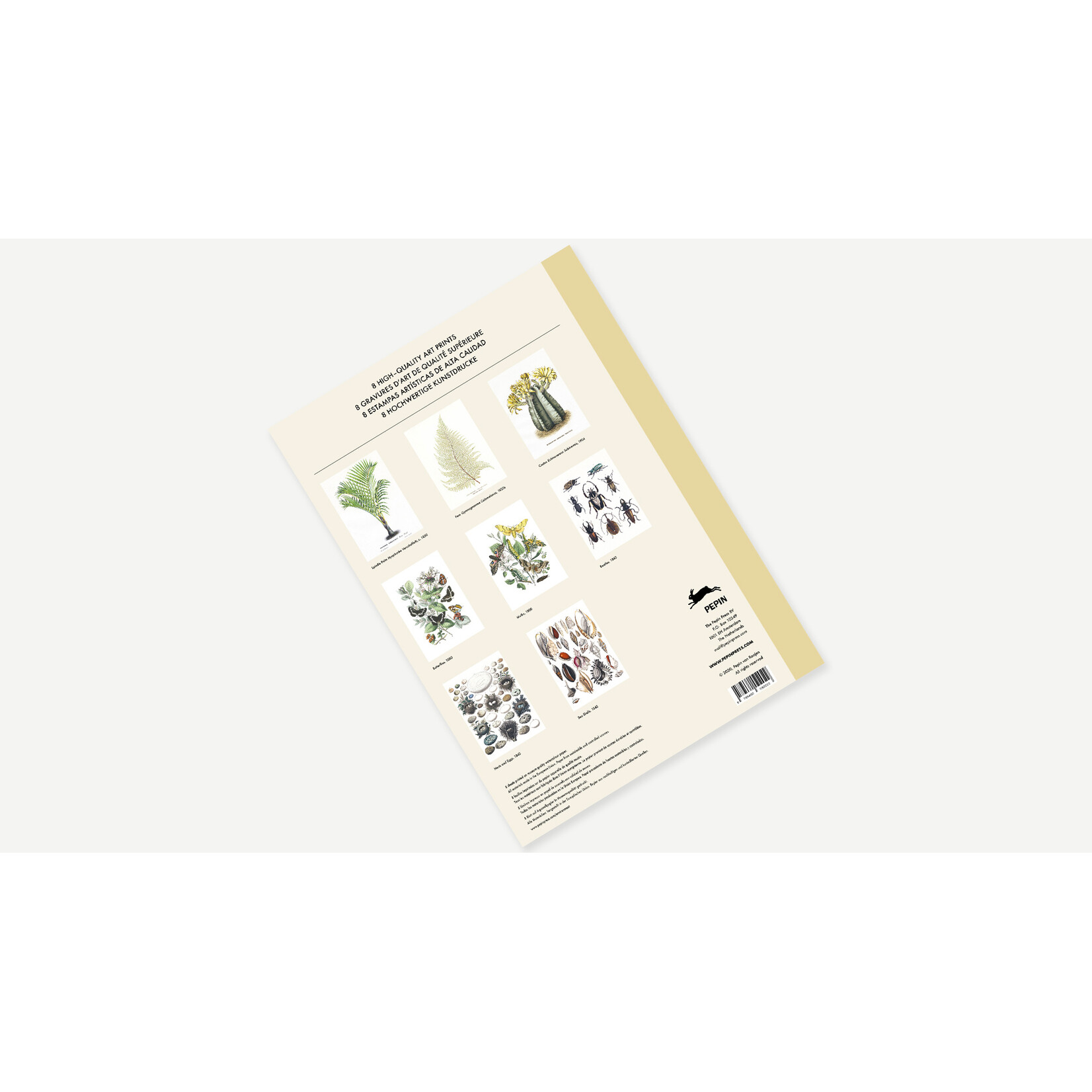 Pepin Press Natural History Art Portfolio 8 Prints
