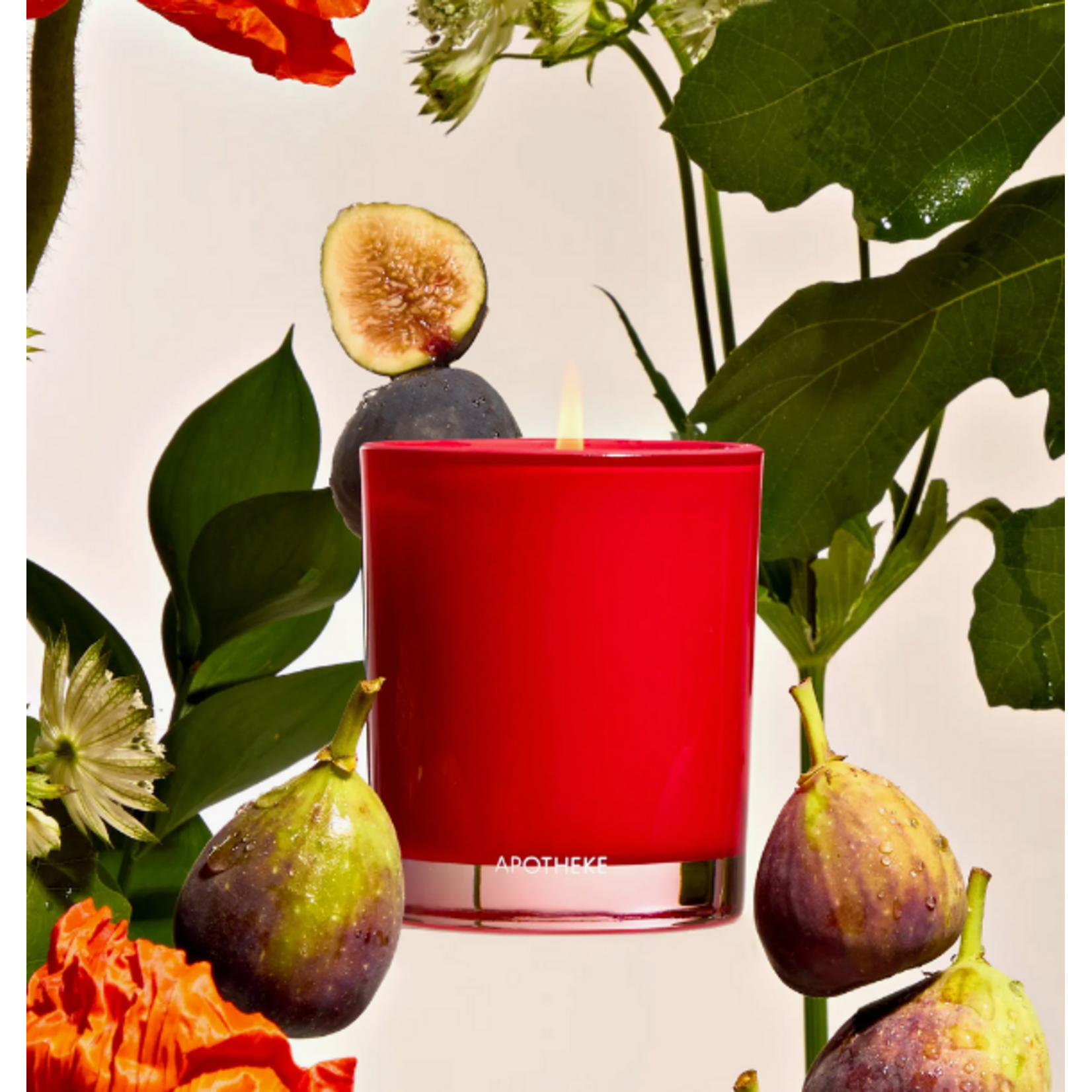Apotheke Fig and Olive Leaf Petite Candle