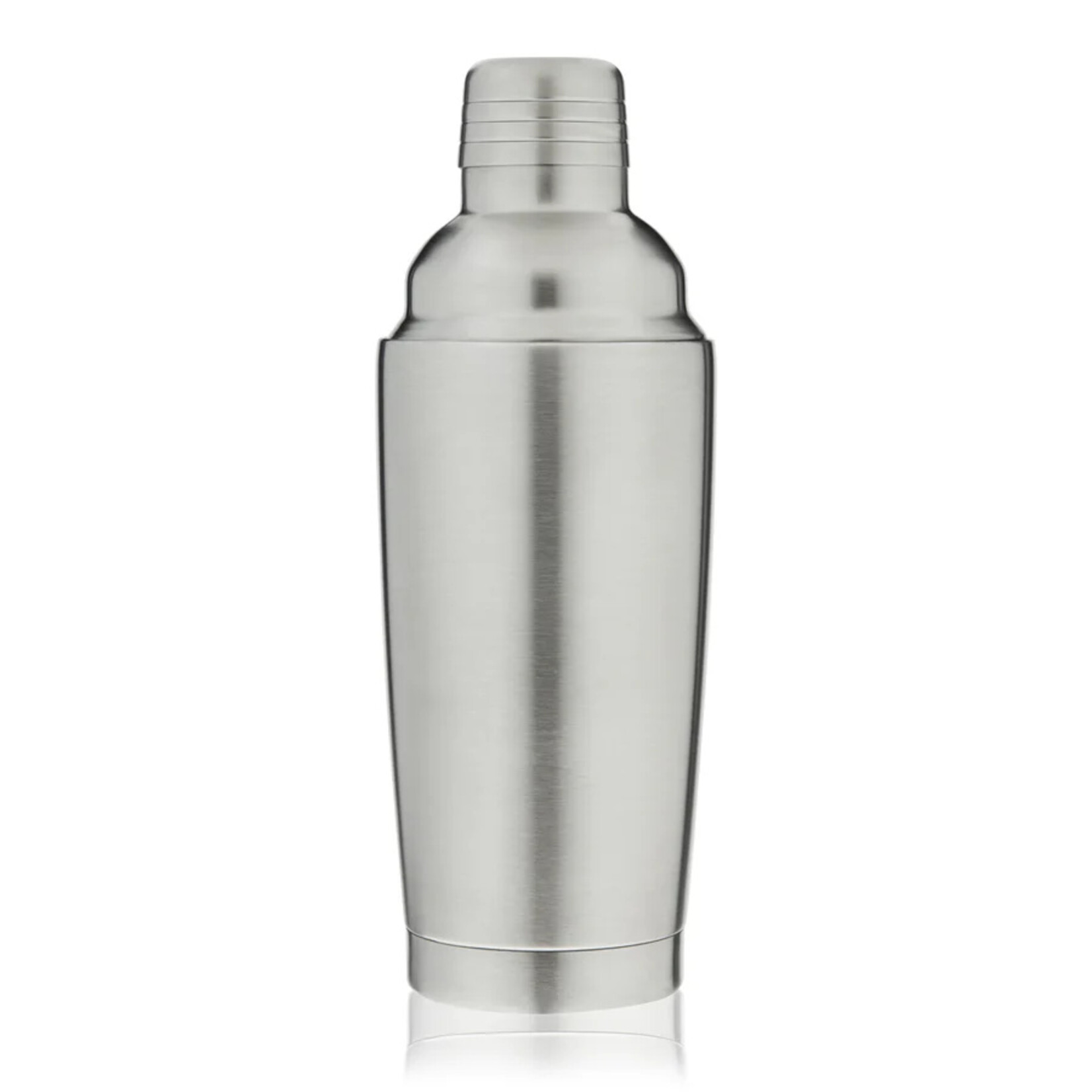 TRUE Brands Stainless Steel Vacuum Insulated Shaker