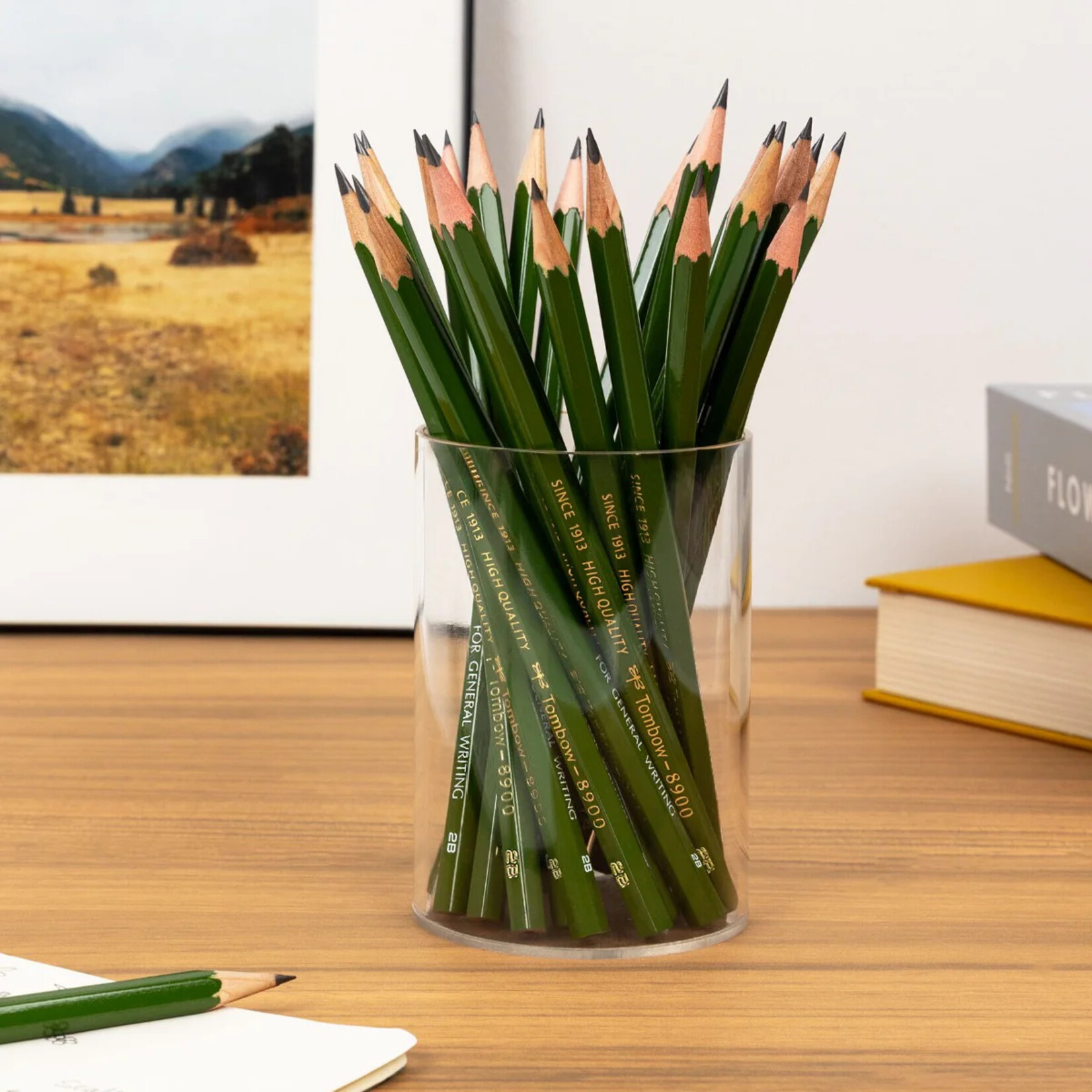 Tombow 8900 Drawing Pencils 2B