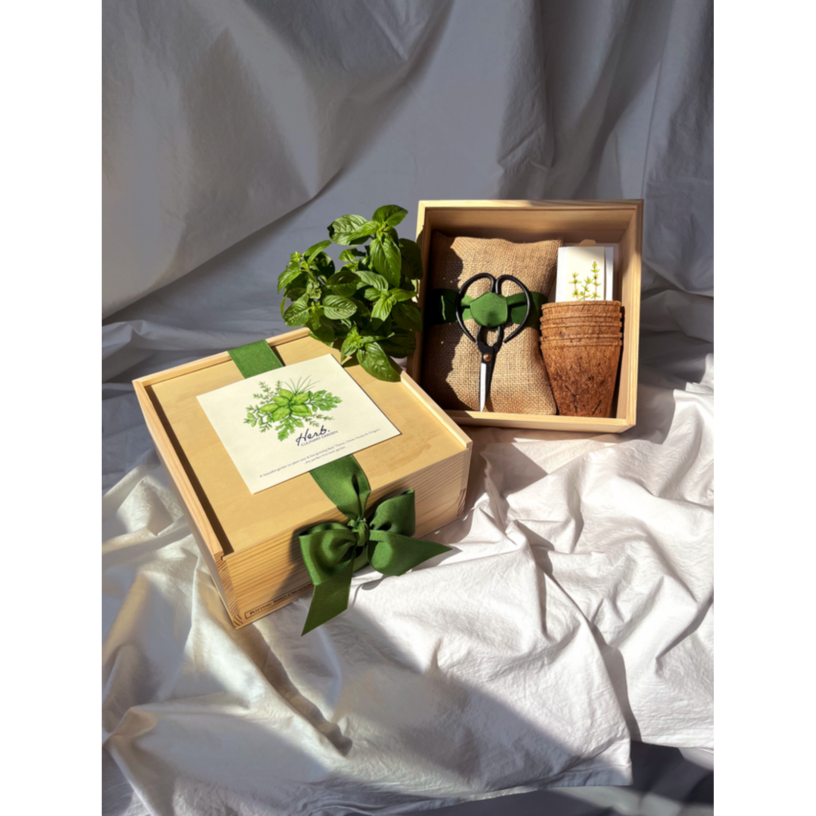 Culinary Herb Garden Box Mother's Day