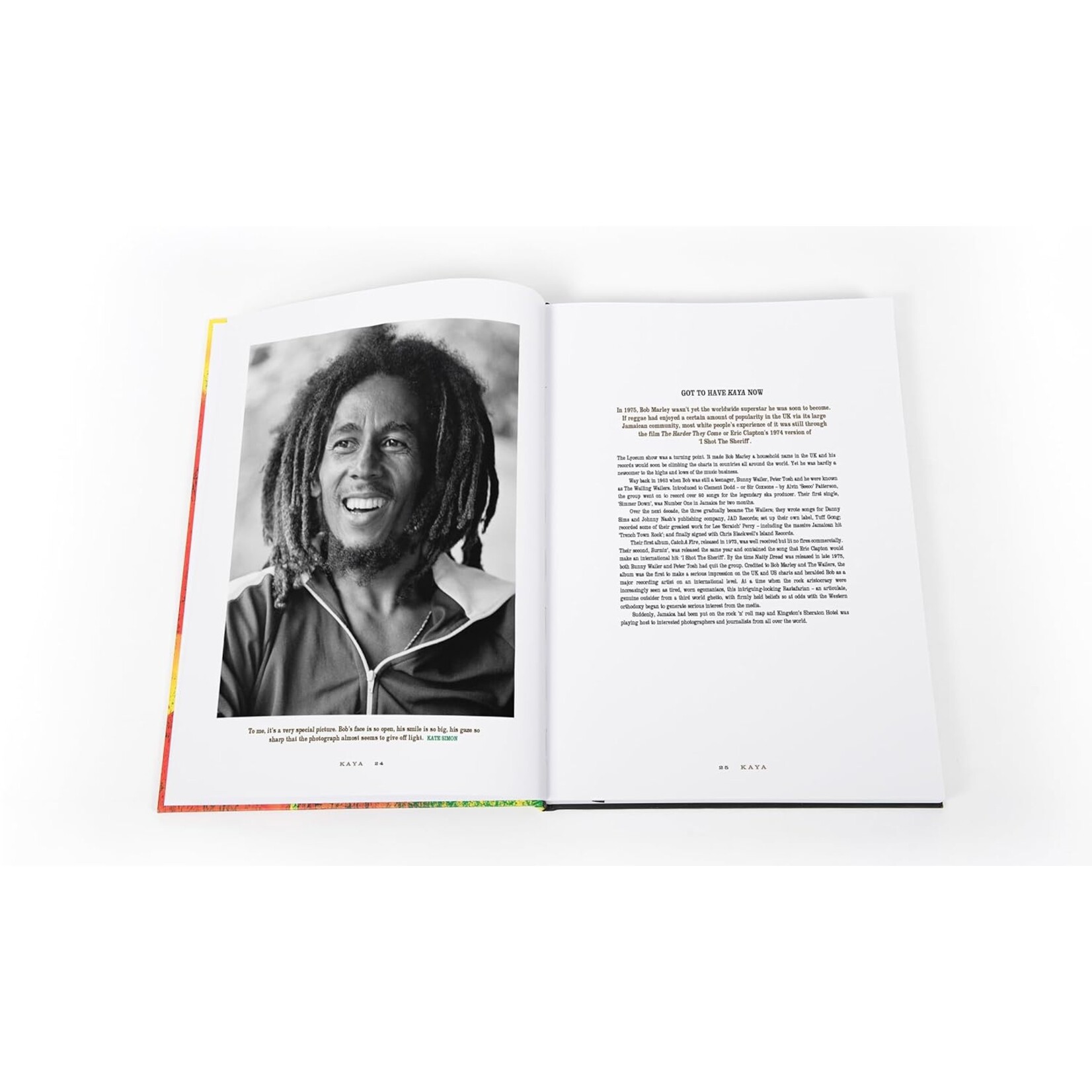 Ingram Publisher Services Rebel Music: Bob Marley & Roots  Reggae