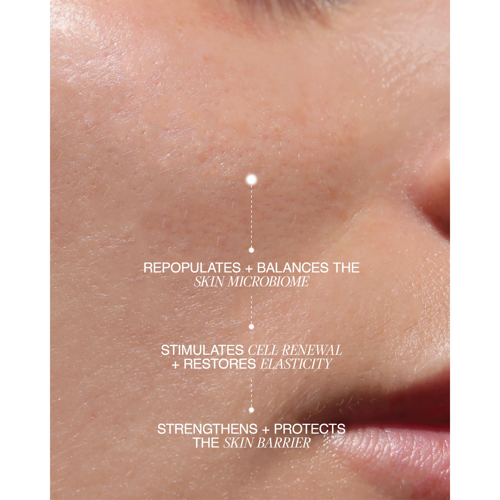 Lapcos Biome Boost Cream