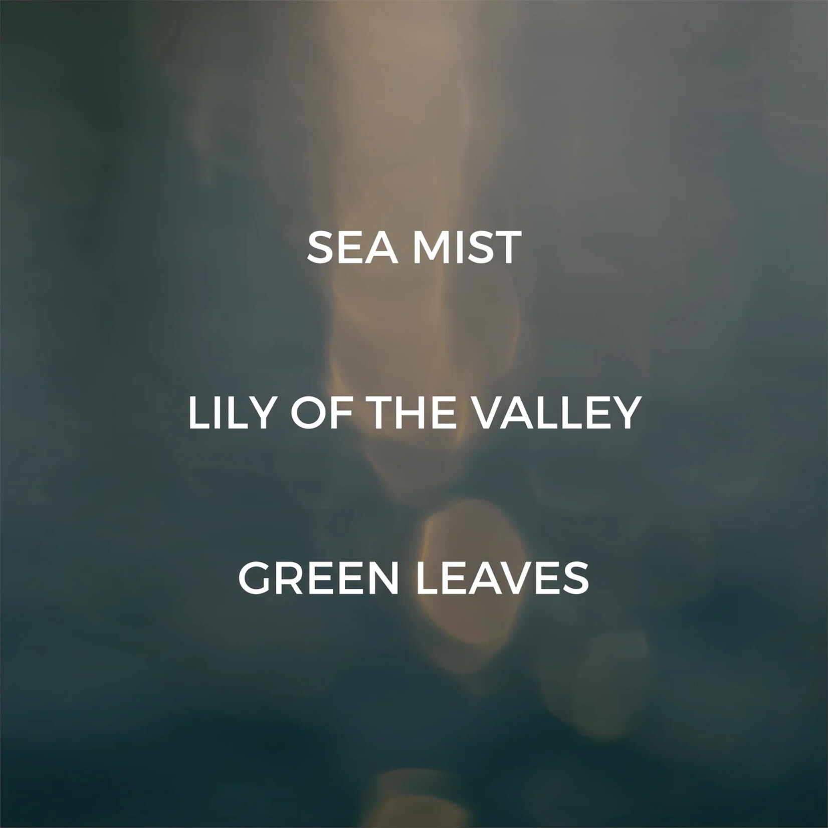 True Hue Crushed Salt + Mist Room Spray