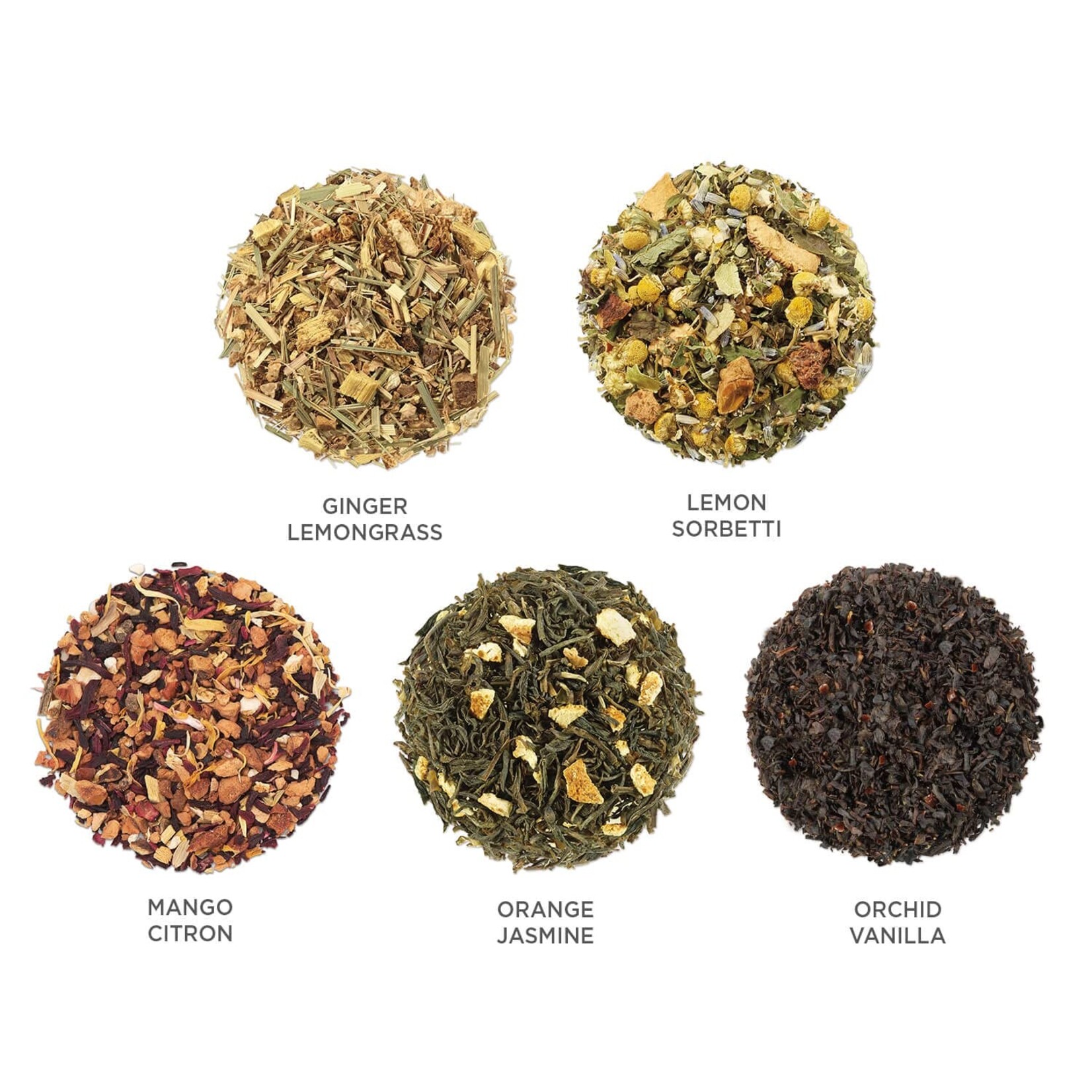 Tea Forte Paradis Petite Presentation Tea Box