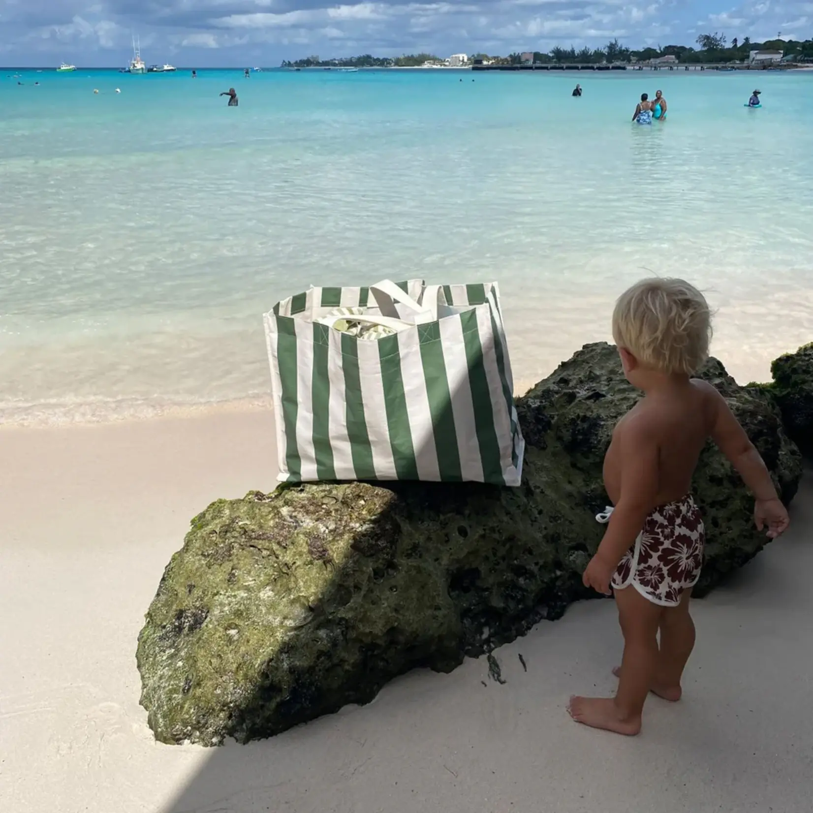 Sunnylife Carryall Beach Bag- Vacay Olive Stripe